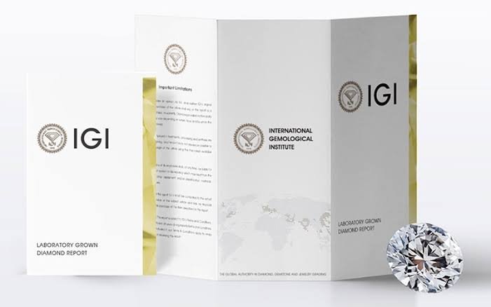 IGI.jpg