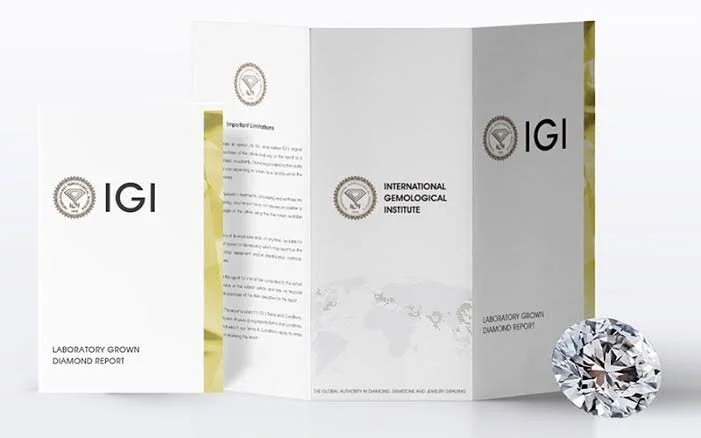 IGI.jpg