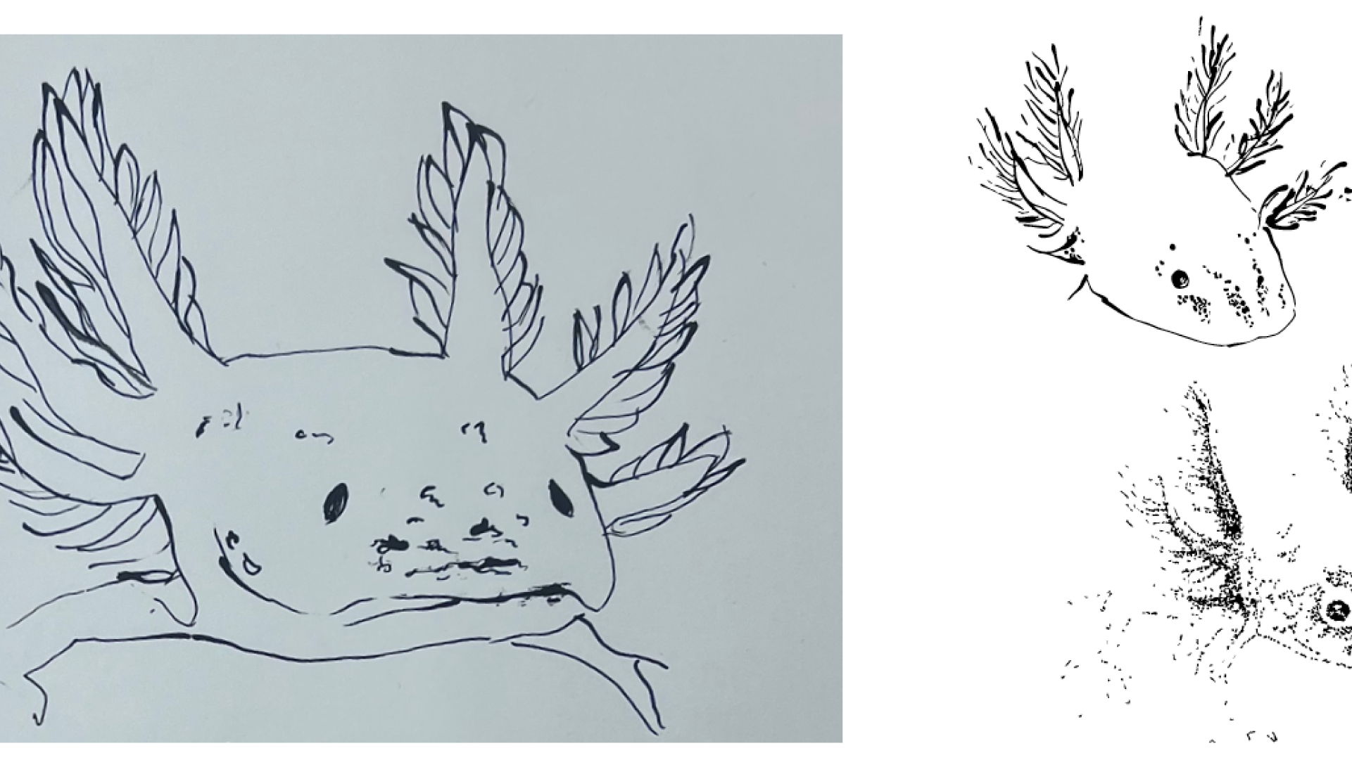 son 3.png