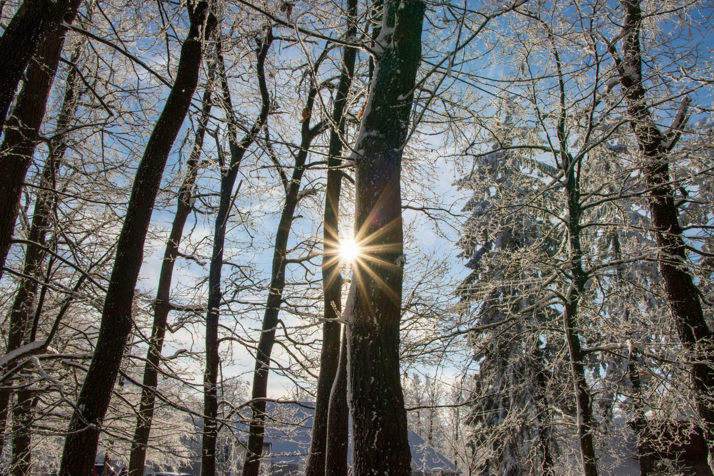 Finding Glimmers in January: Small Moments of Light in a Heavy Month