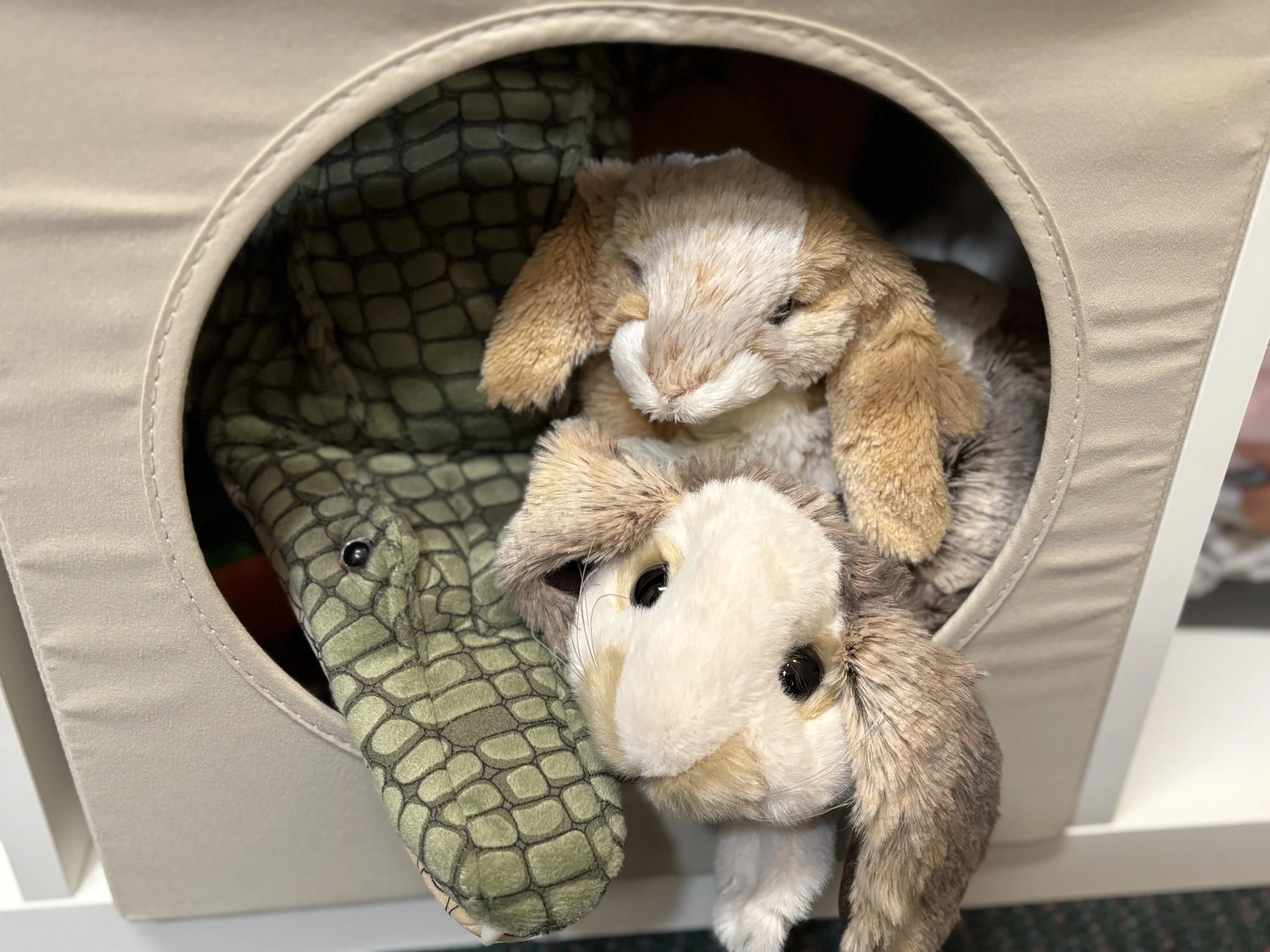 Bunny puppets inside a beige pet house with a green alligator plush toy.