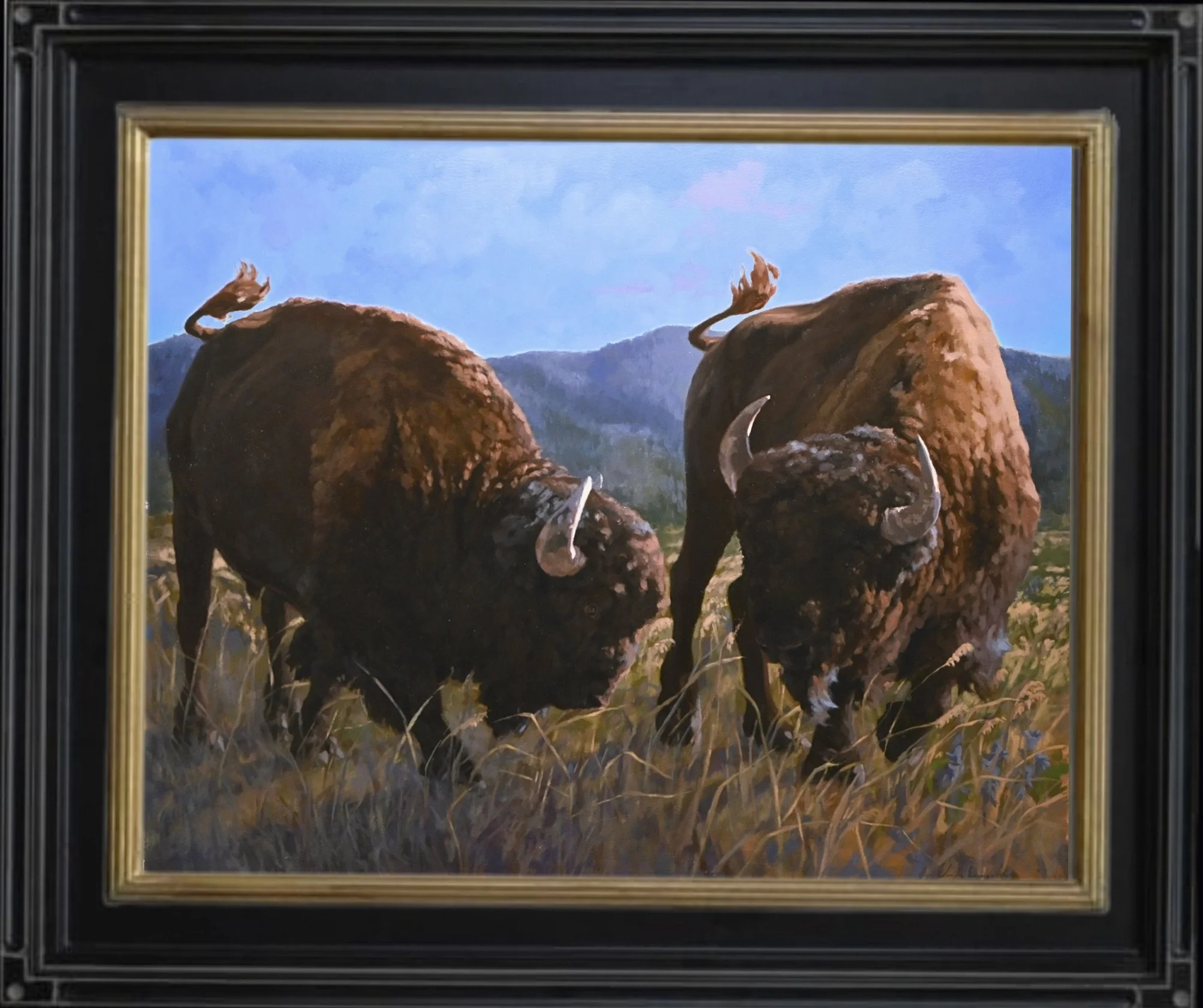 Bison of the Black Hills 24x30"