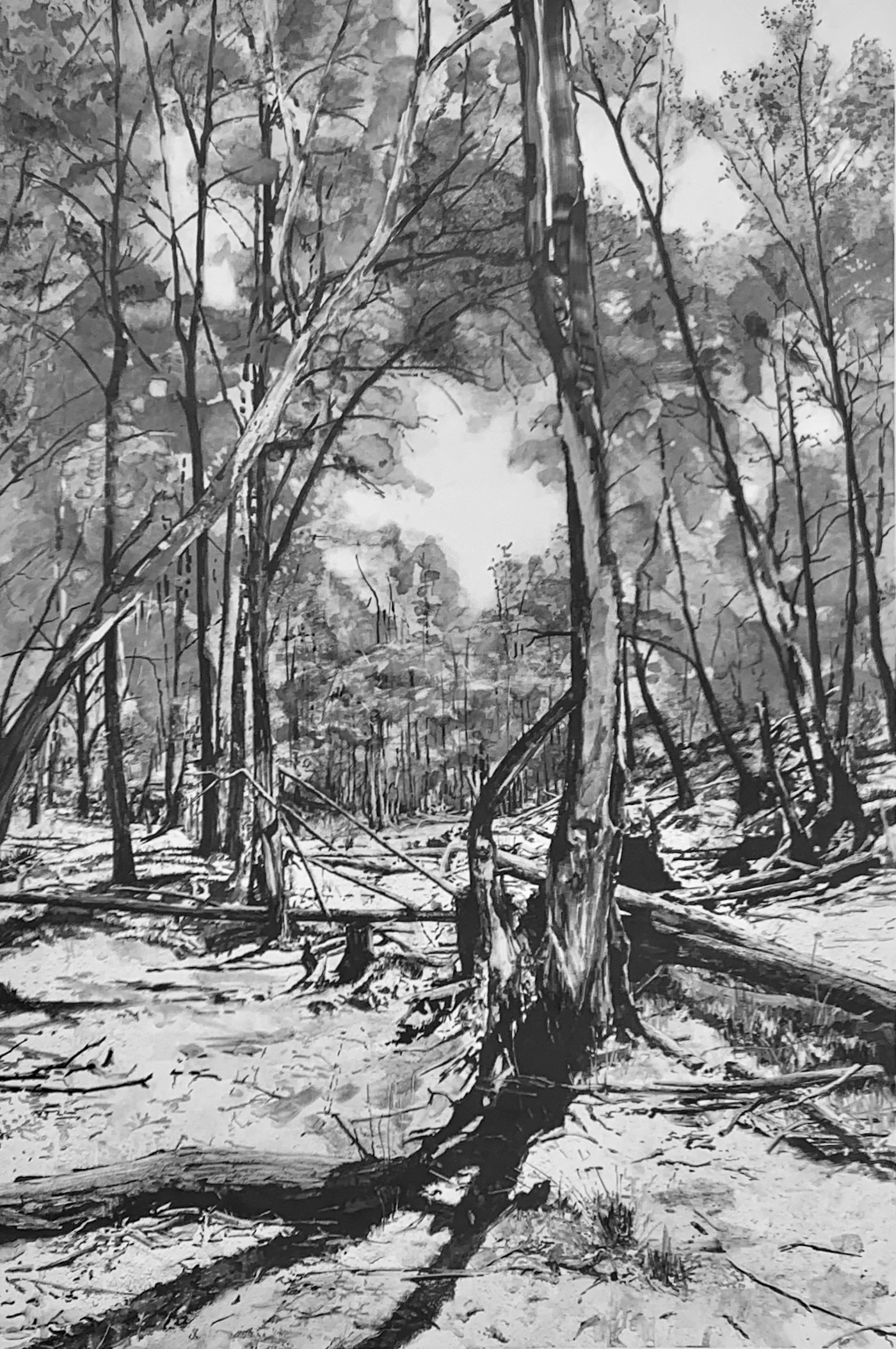 Water-soluble graphite on polypropylene synthetic paper. 98 x 65 cm