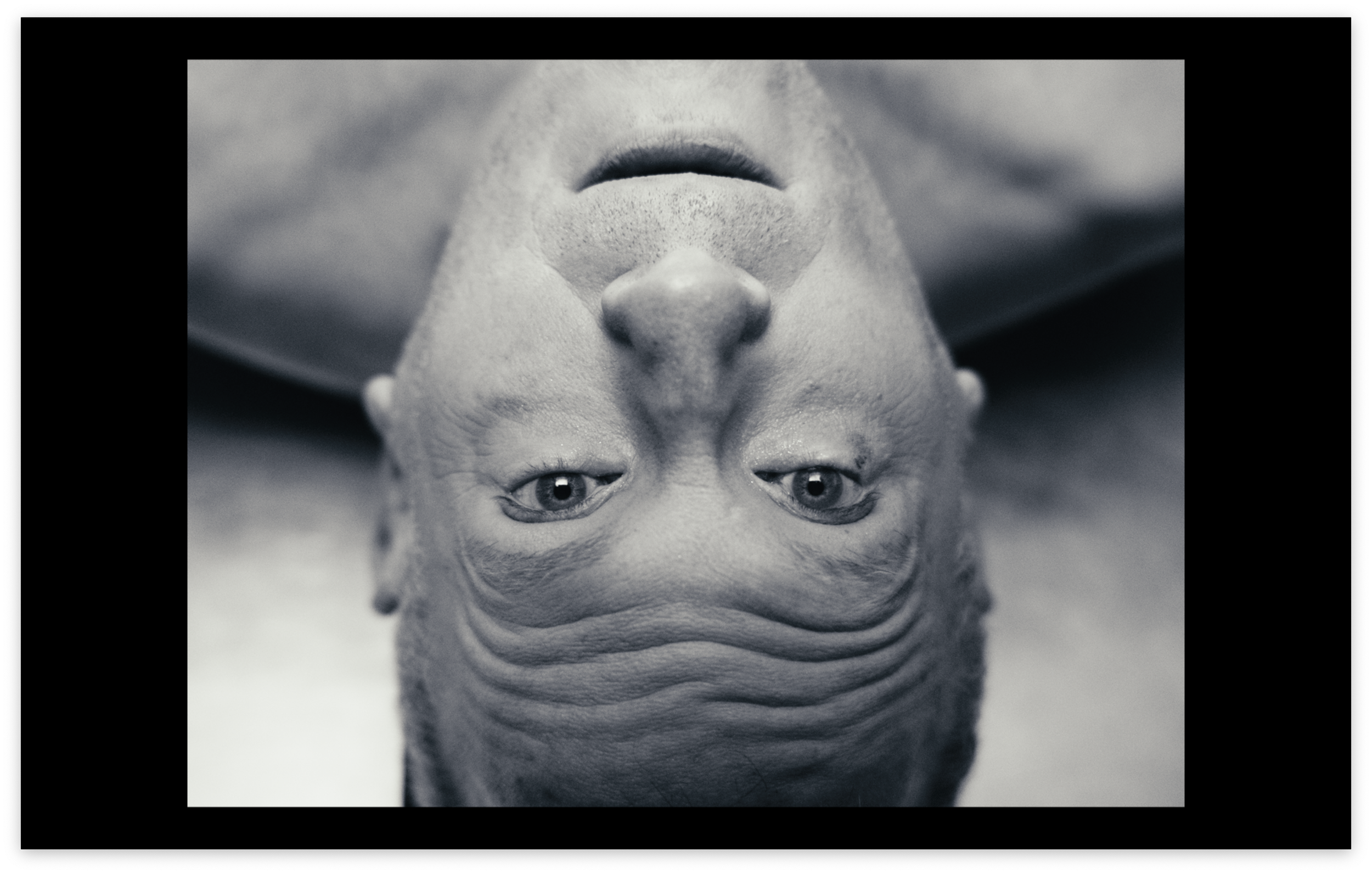 Screen Shot 2024-02-10 at 2.54.09 AM.PNG