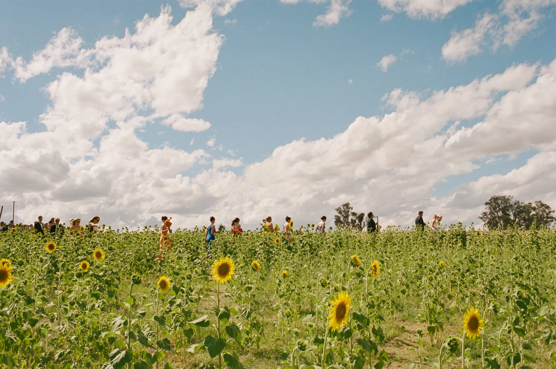 film-photos-by-damon-web-316.jpg