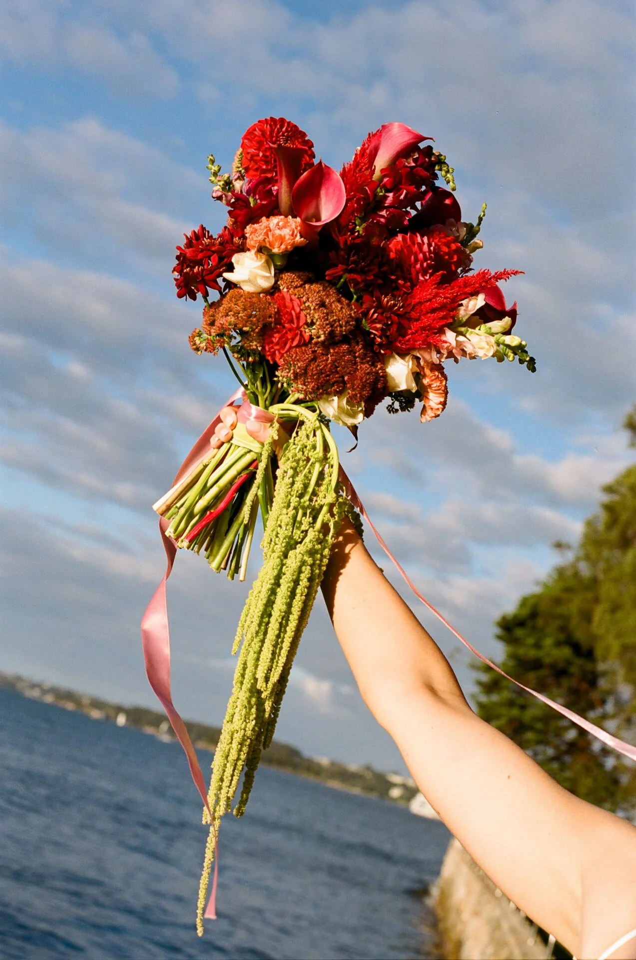 film-photos-by-damon-web-480.jpg
