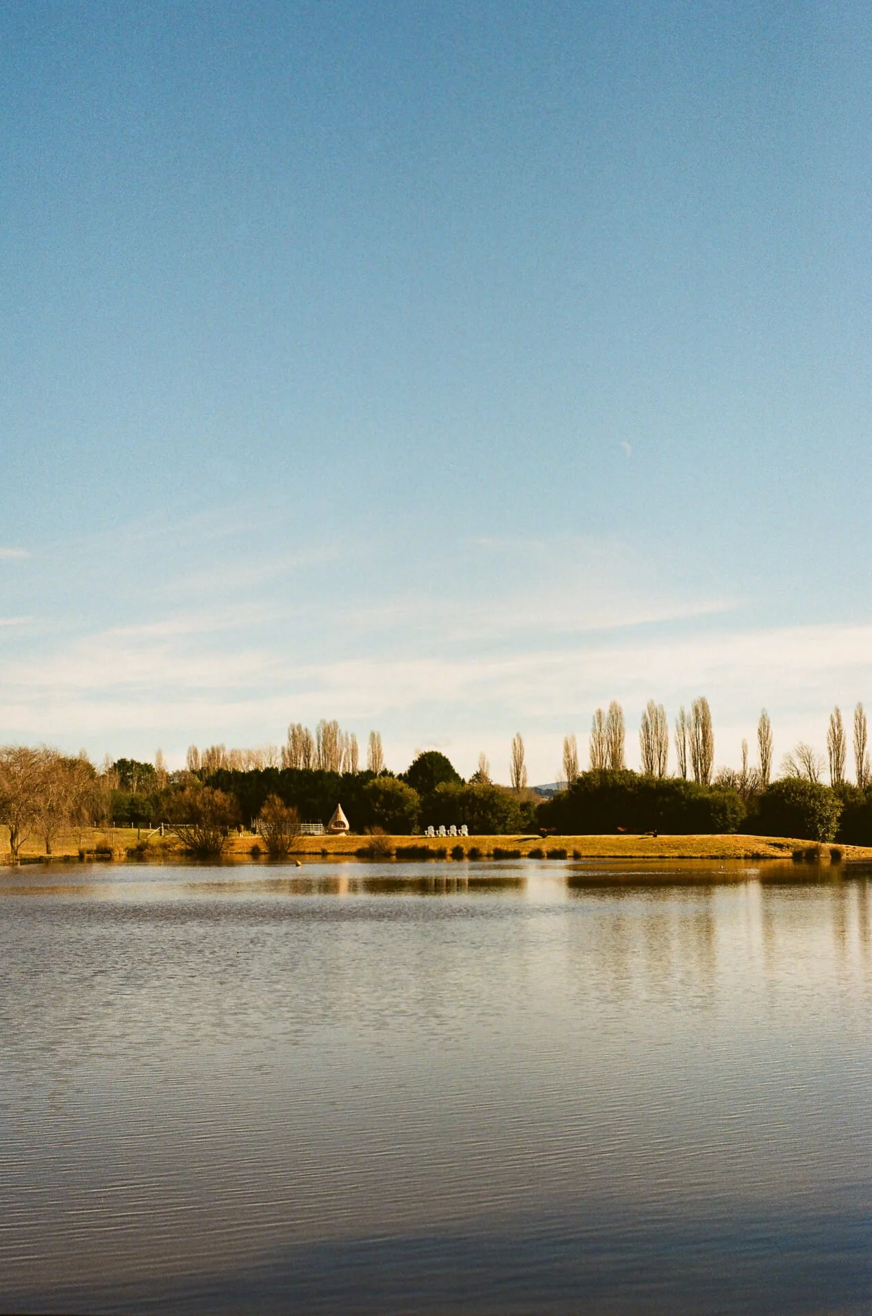 film-photos-by-damon-web-134.jpg