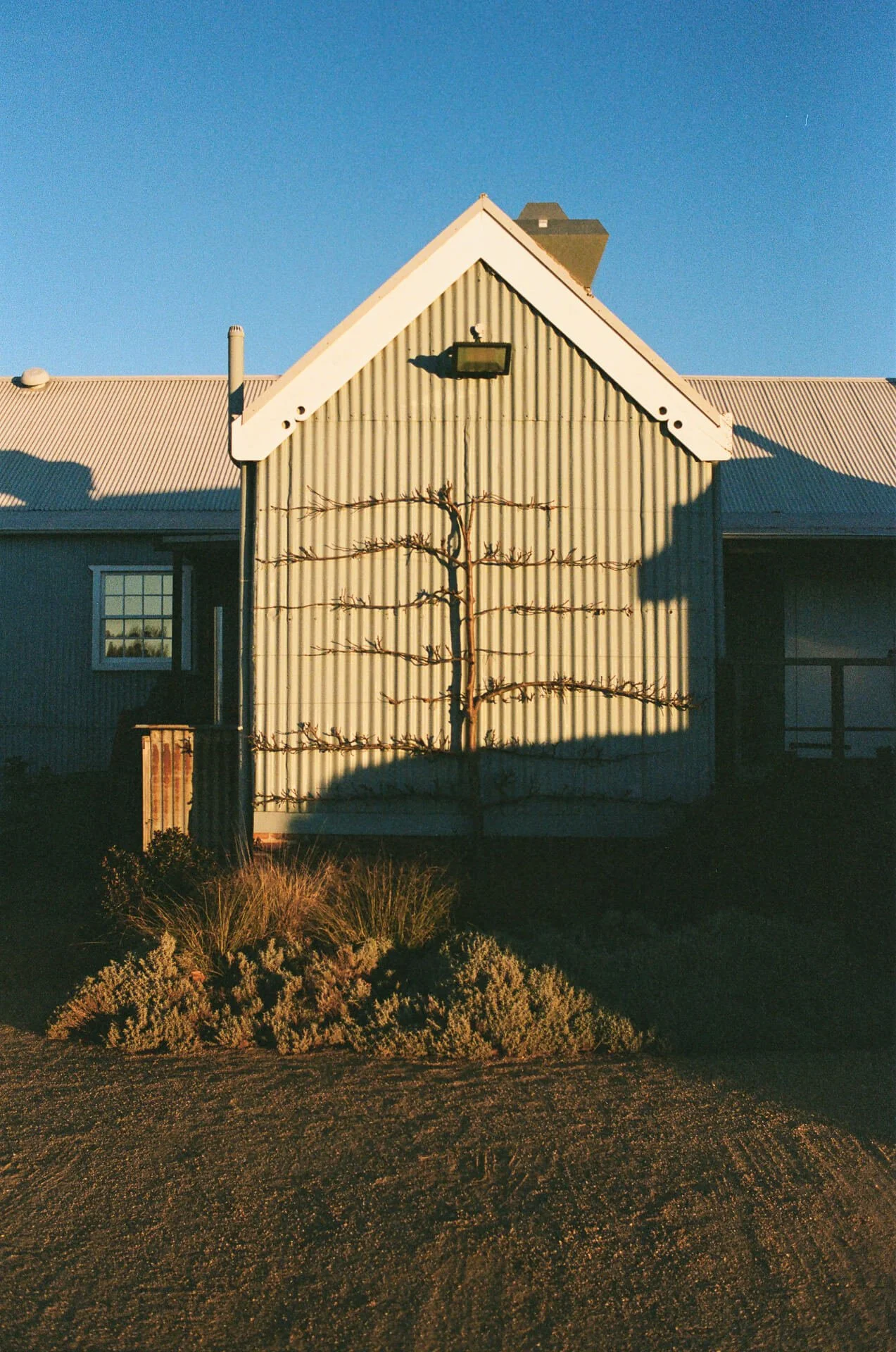 film-photos-by-damon-web-141.jpg