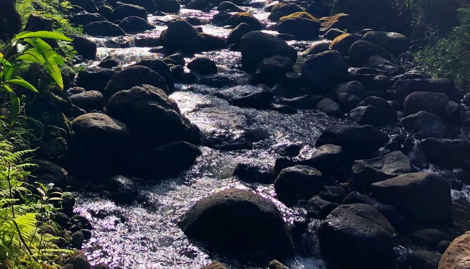 UHero: Supporting thriving water futures through education and career pathways: perspectives from the Hawai‘i water sector