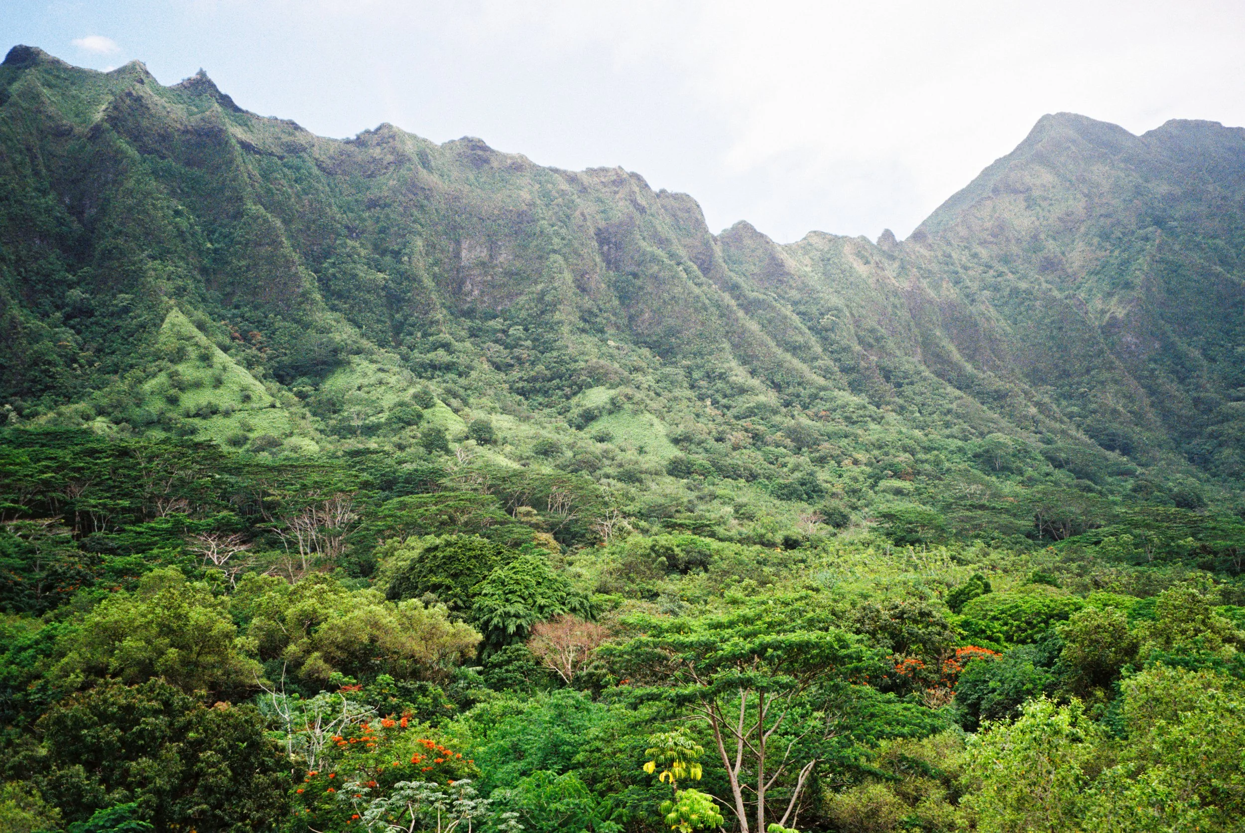 Kane'ohe, HI
