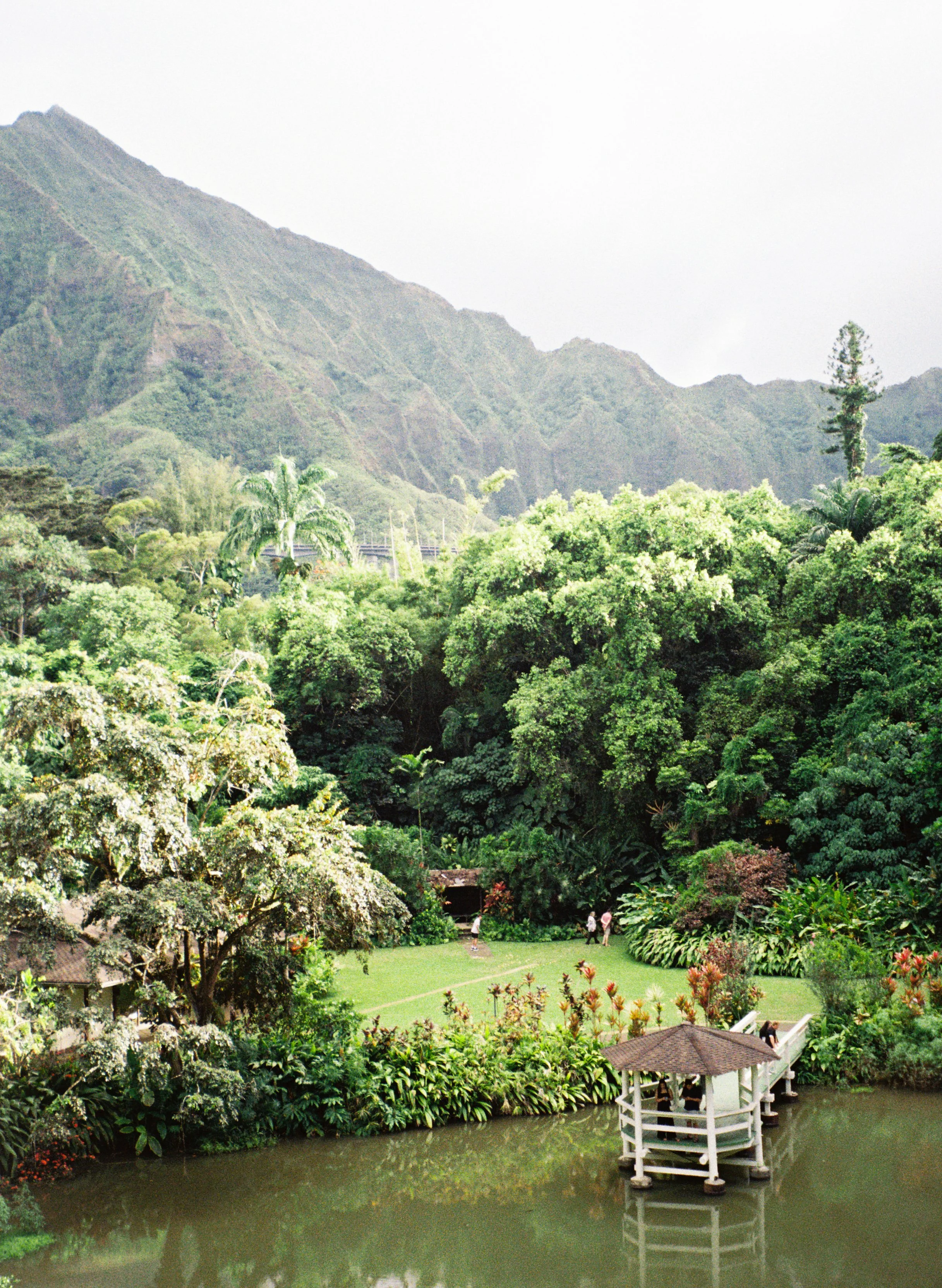 Hale'iwa Joe's, HI
