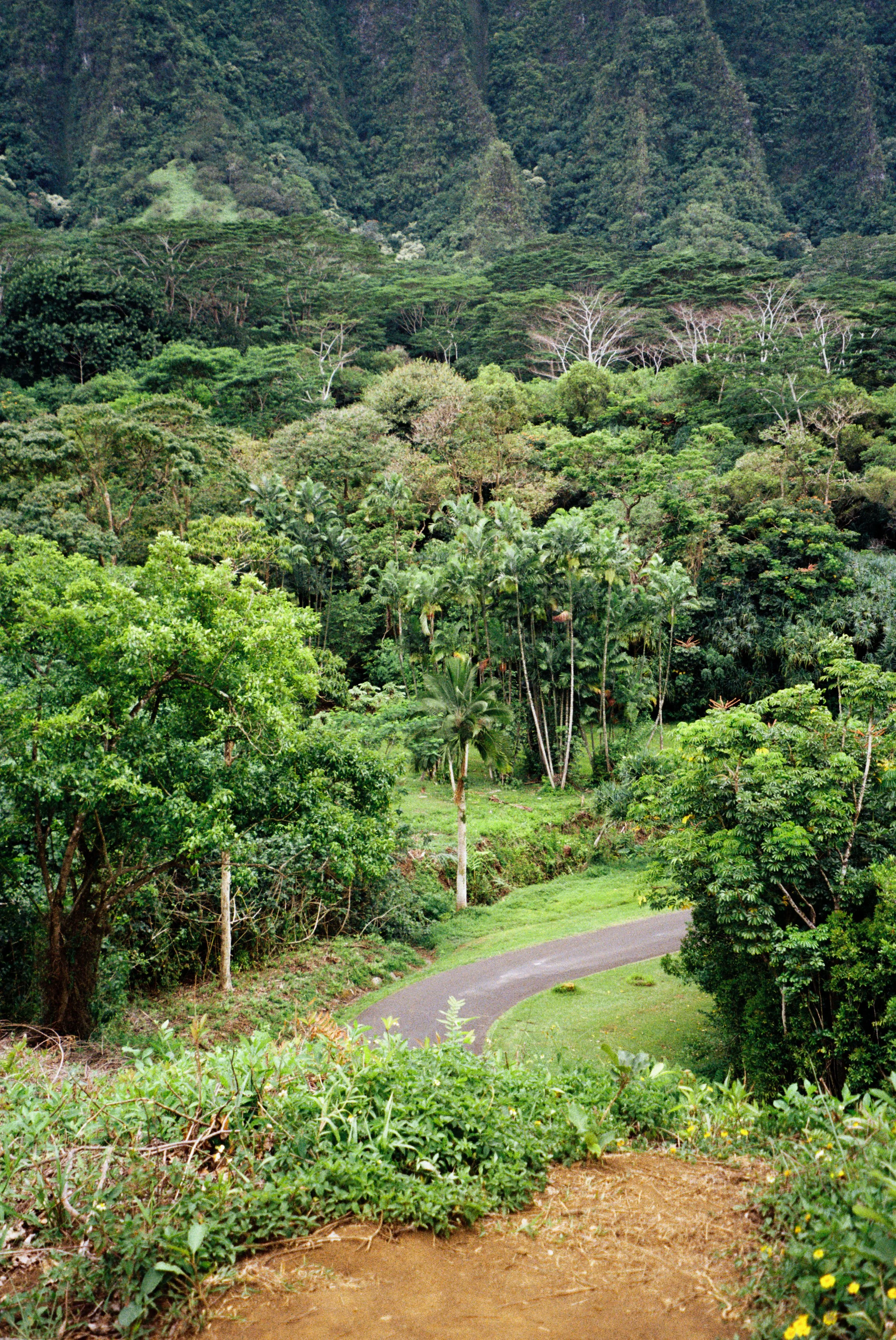 Ho'omaluhia Botanical Garden, HI