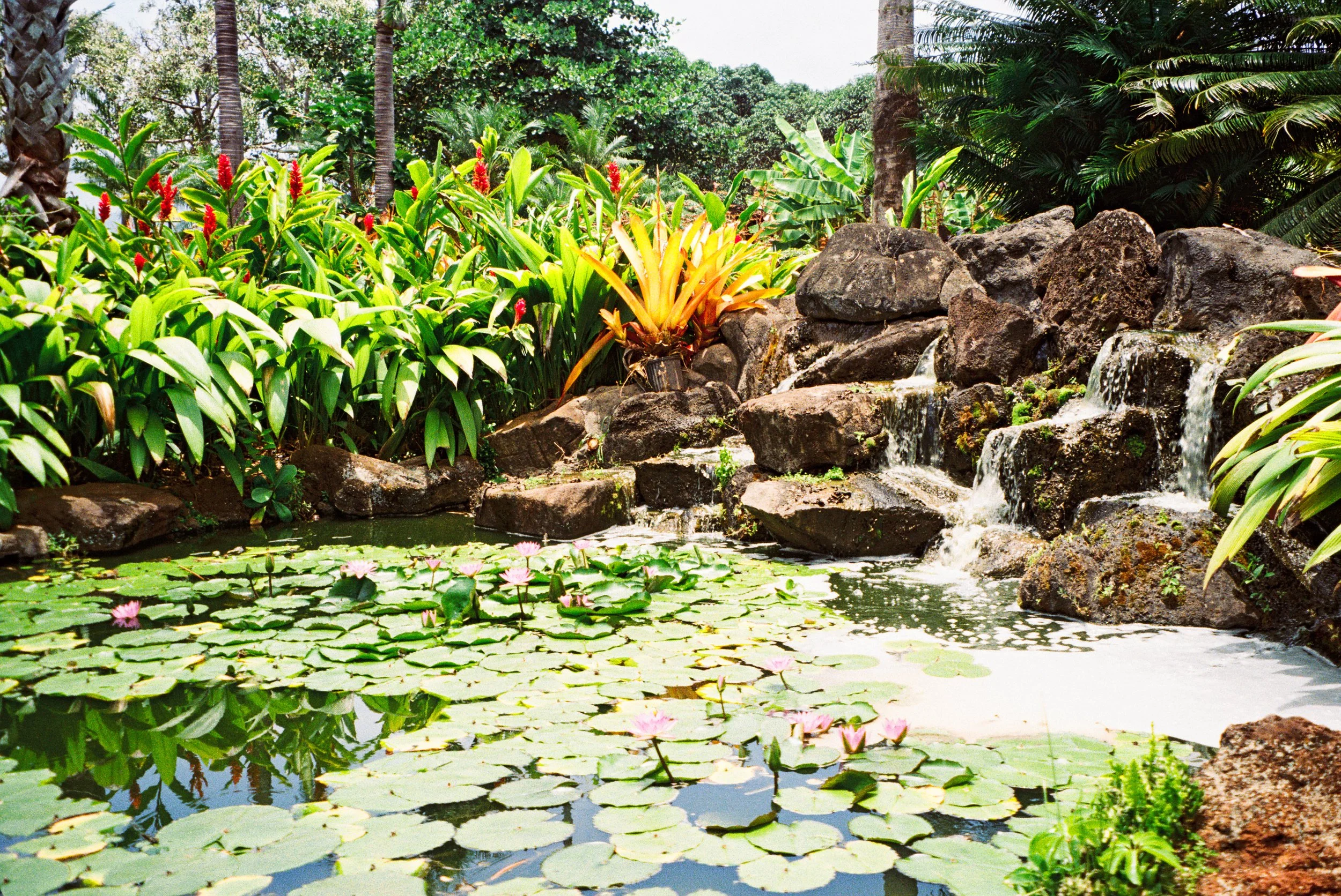 Wahiawa, HI