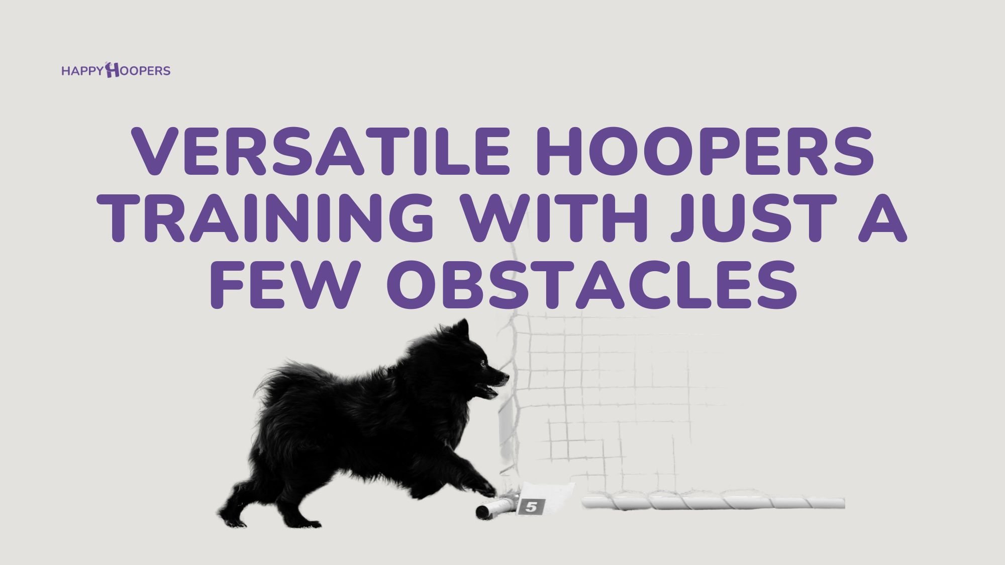 Hoopers training setup with a few obstacles for varied, goal-oriented dog training.