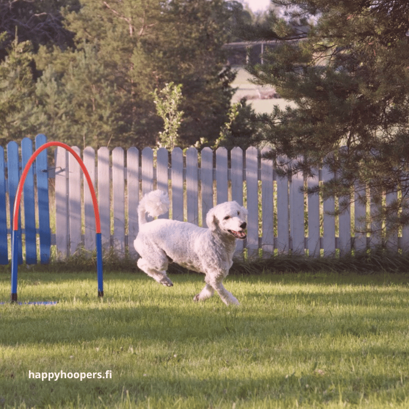 Hoopers: Viisi vinkkiä (+BONUS) irtoamisen harjoitteluun