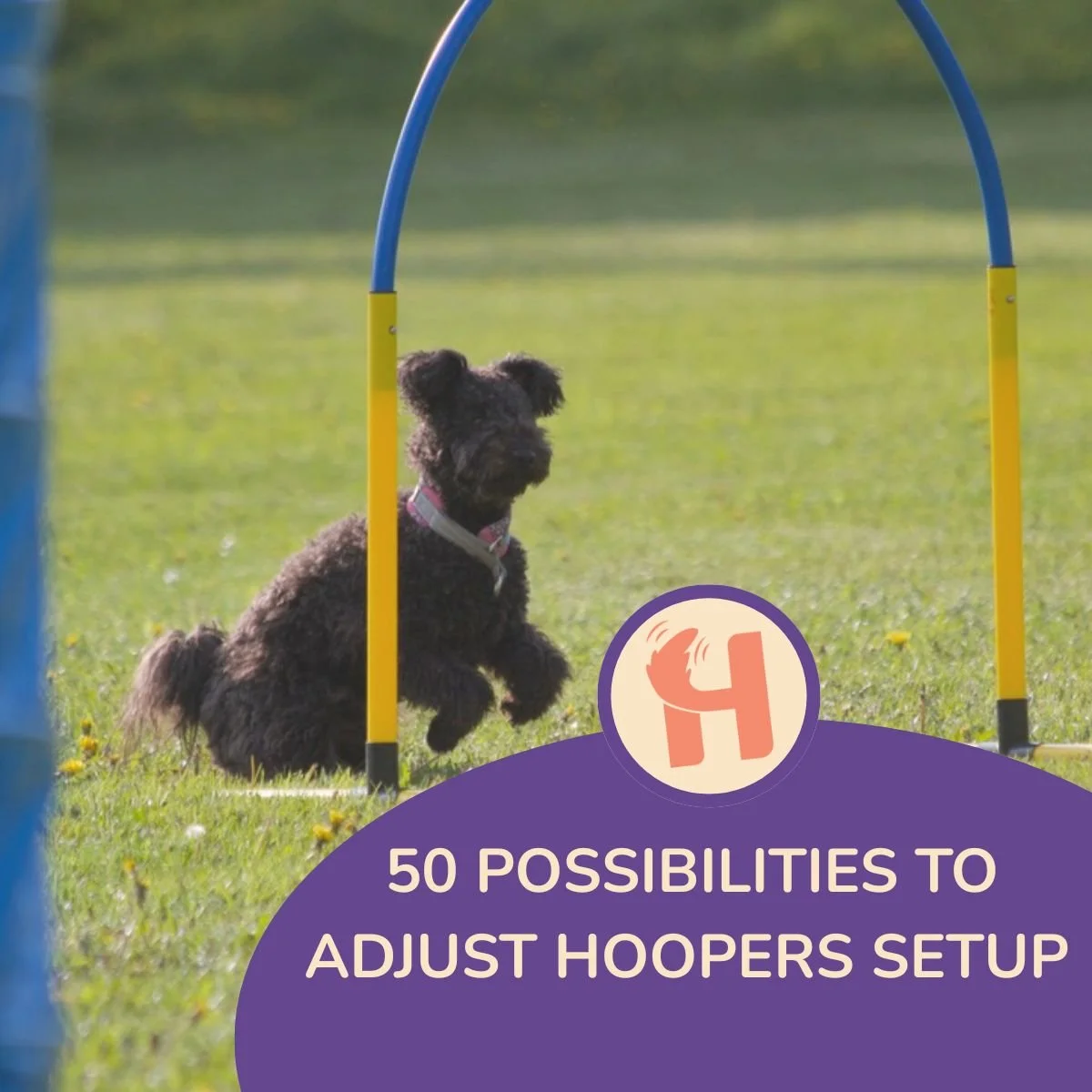 One hoopers setup - 50 possibilities to adjust it