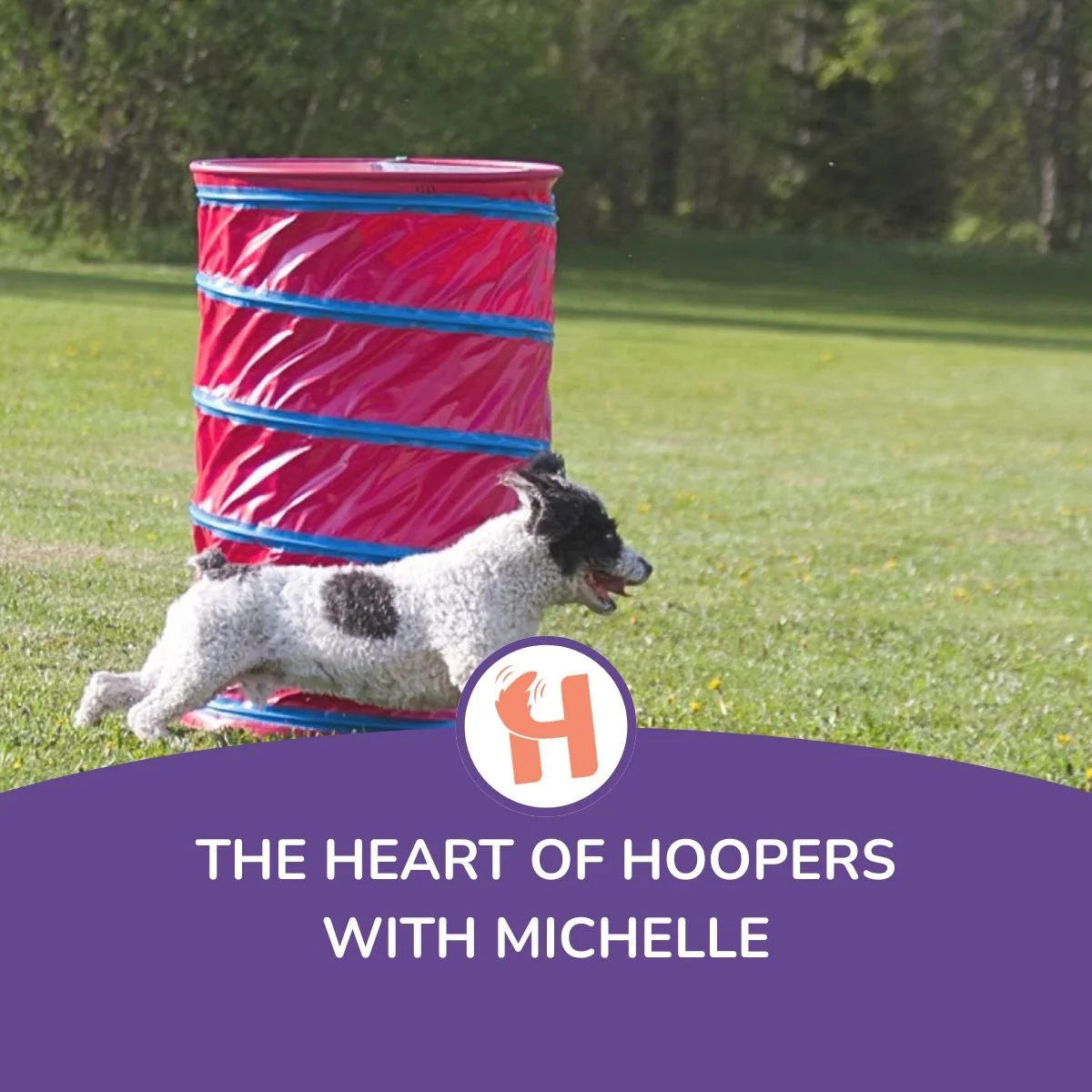 The heart of hoopers with Michelle Johnston