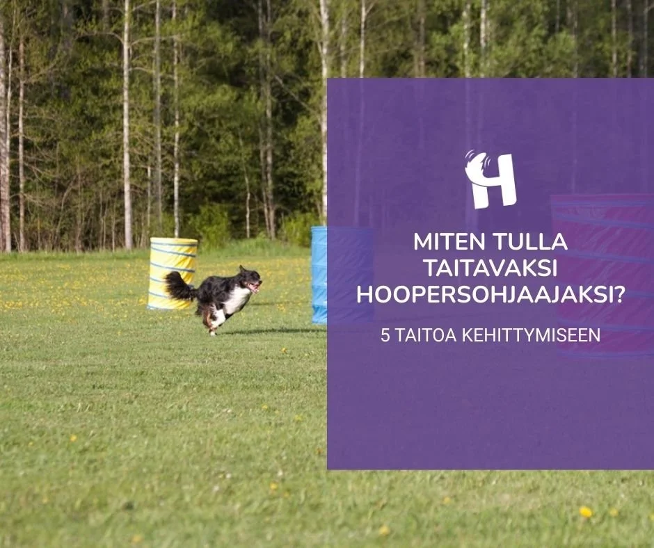 Miten tulla taitavaksi hoopersohjaajaksi? 5 taitoa kehittymiseen