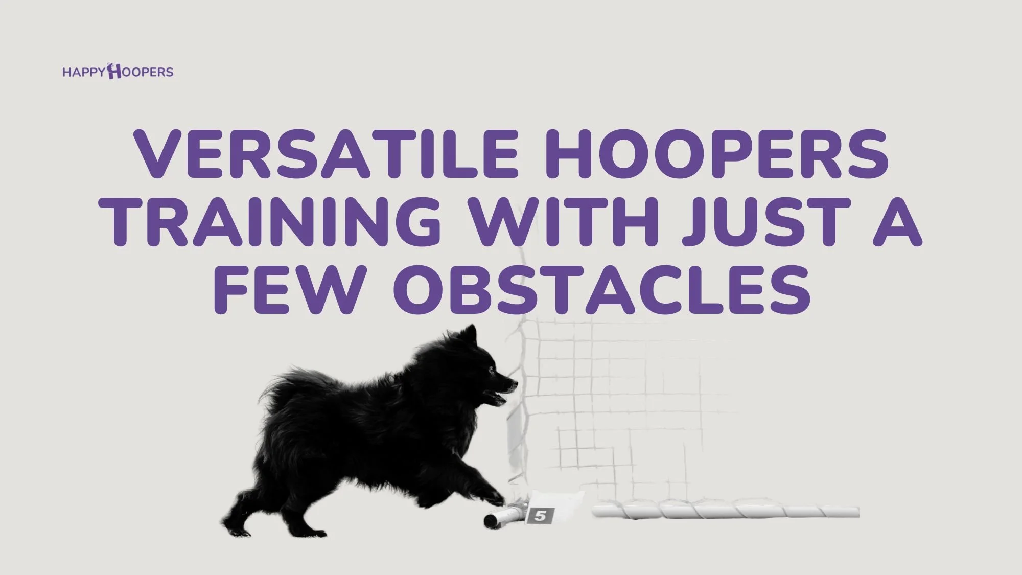 Versatile hoopers training with just a few obstacles