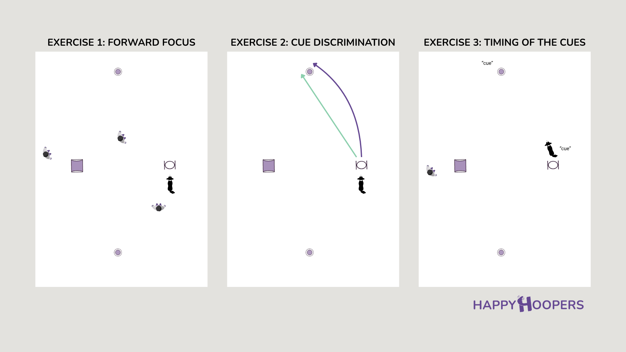 Hoopers obstacle setup used to practise forward focus, turning cue discrimination and handling cue timing.