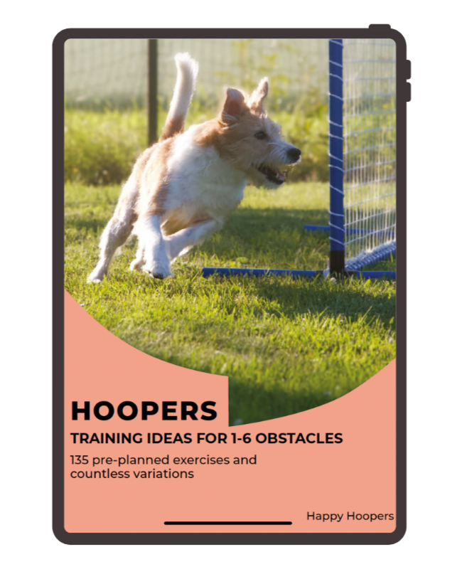 Hoopers training ideas for 1-6 obstacles