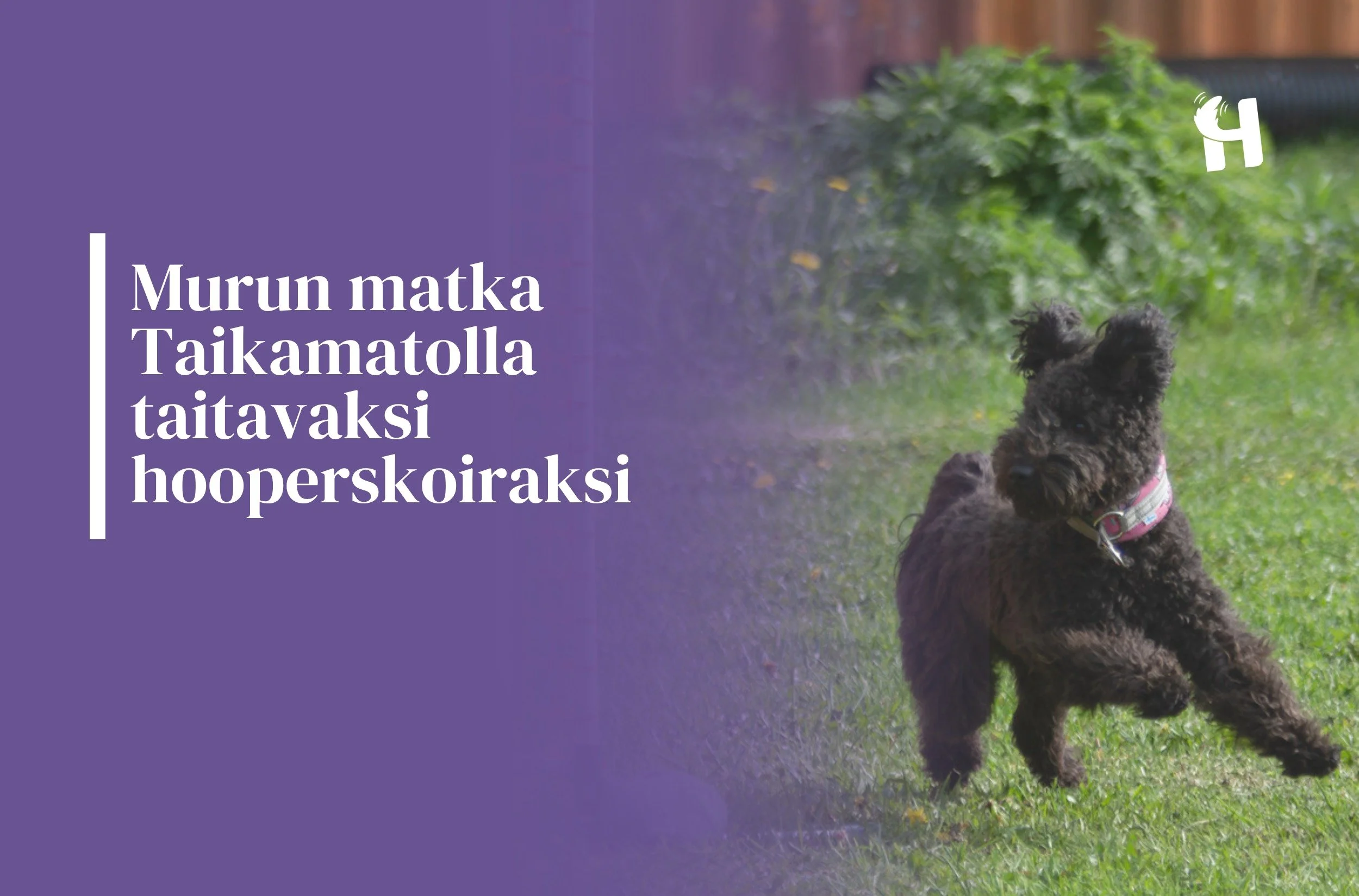 Hooperstaitoja voidaan harjoitella kohdetyöskentelyn avulla. Tässä julkaisussa tutustut Murun hoopersmatkaan