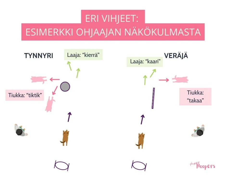 Tynnyrille ja veräjälle voidaan opettaa myös erilliset suuntavihjeet.