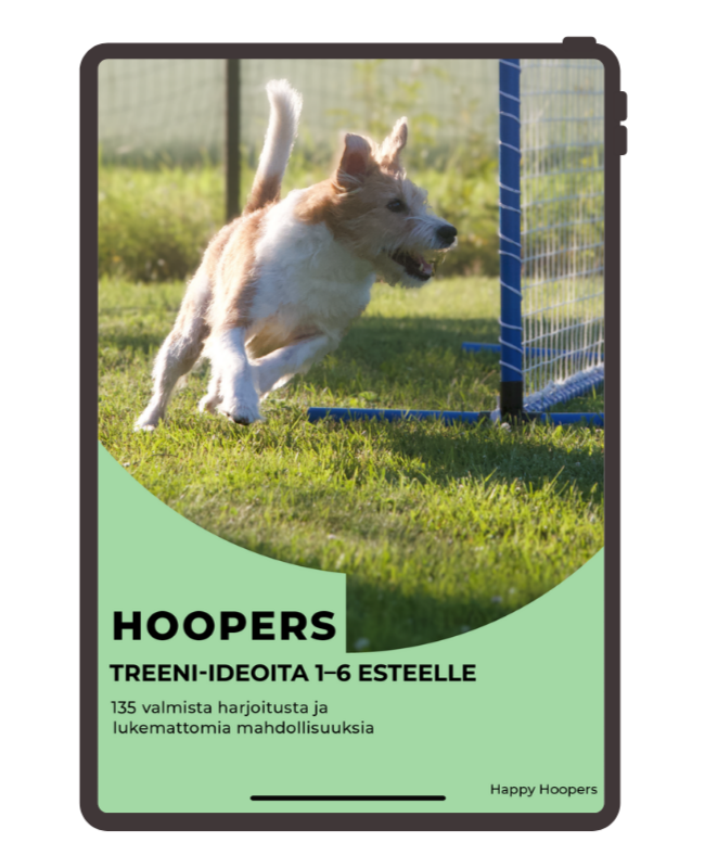Hoopers treeni-ideoita 1-6 esteelle