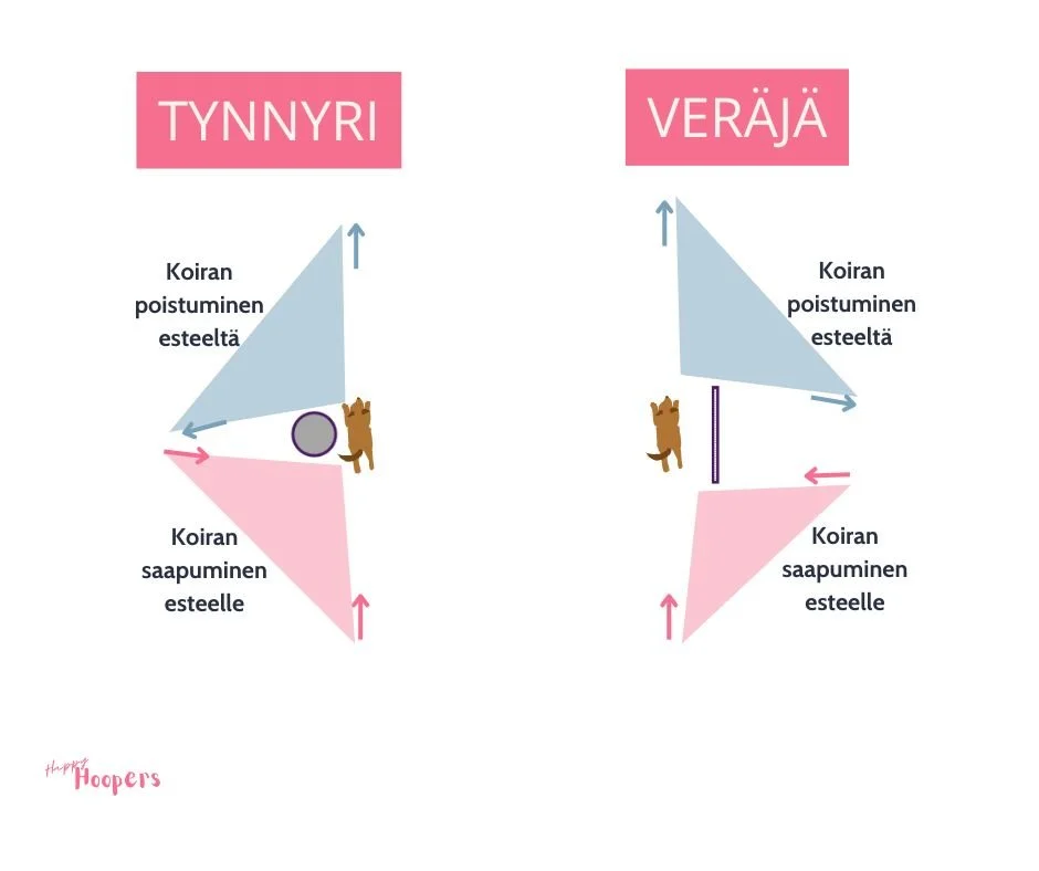 Tynnyrille ja veräjälle voidaan saapua eri suunnista.
