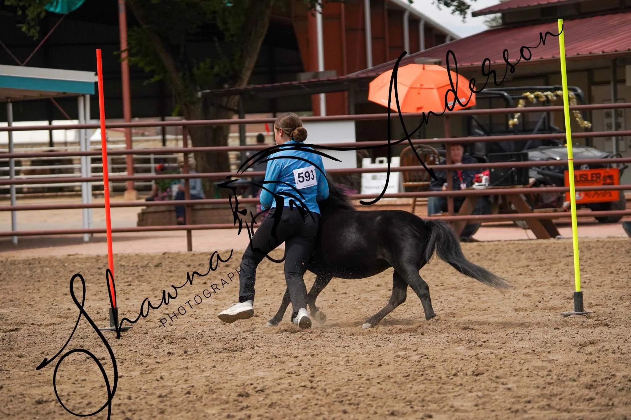 DSC06460.jpg