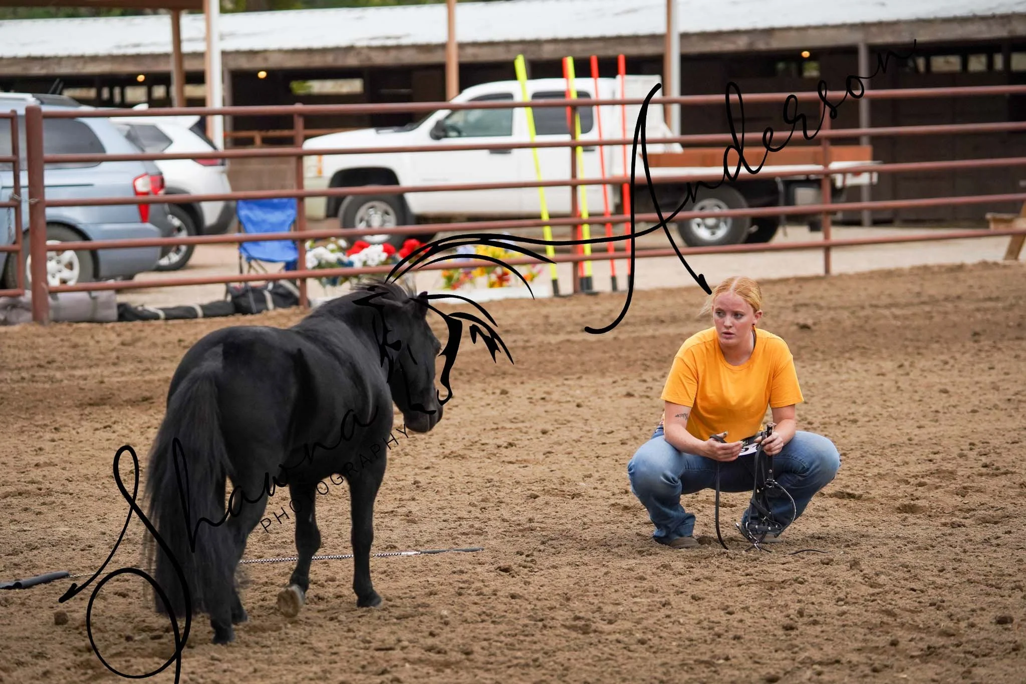 DSC04156.jpg