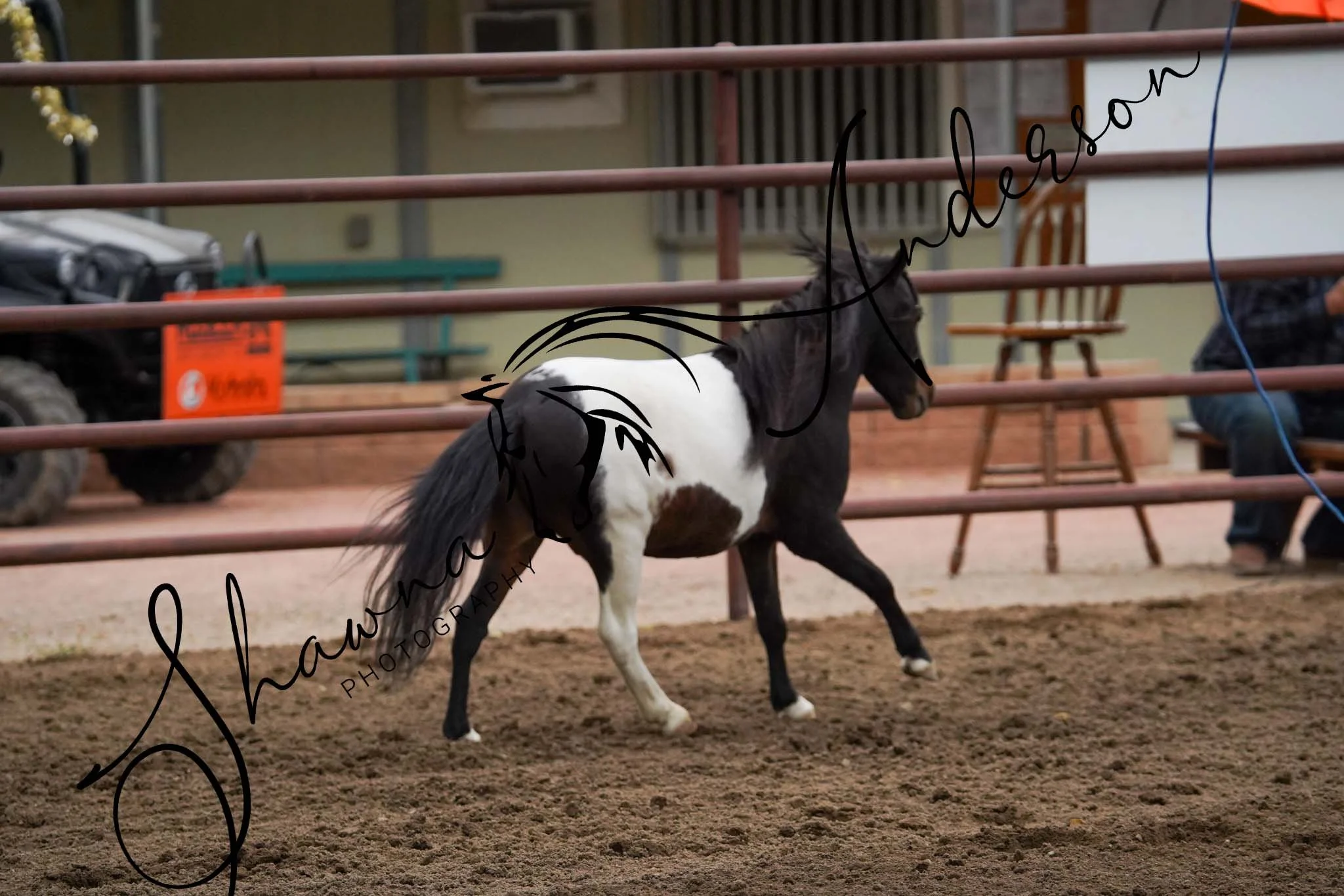 DSC04370_1.jpg