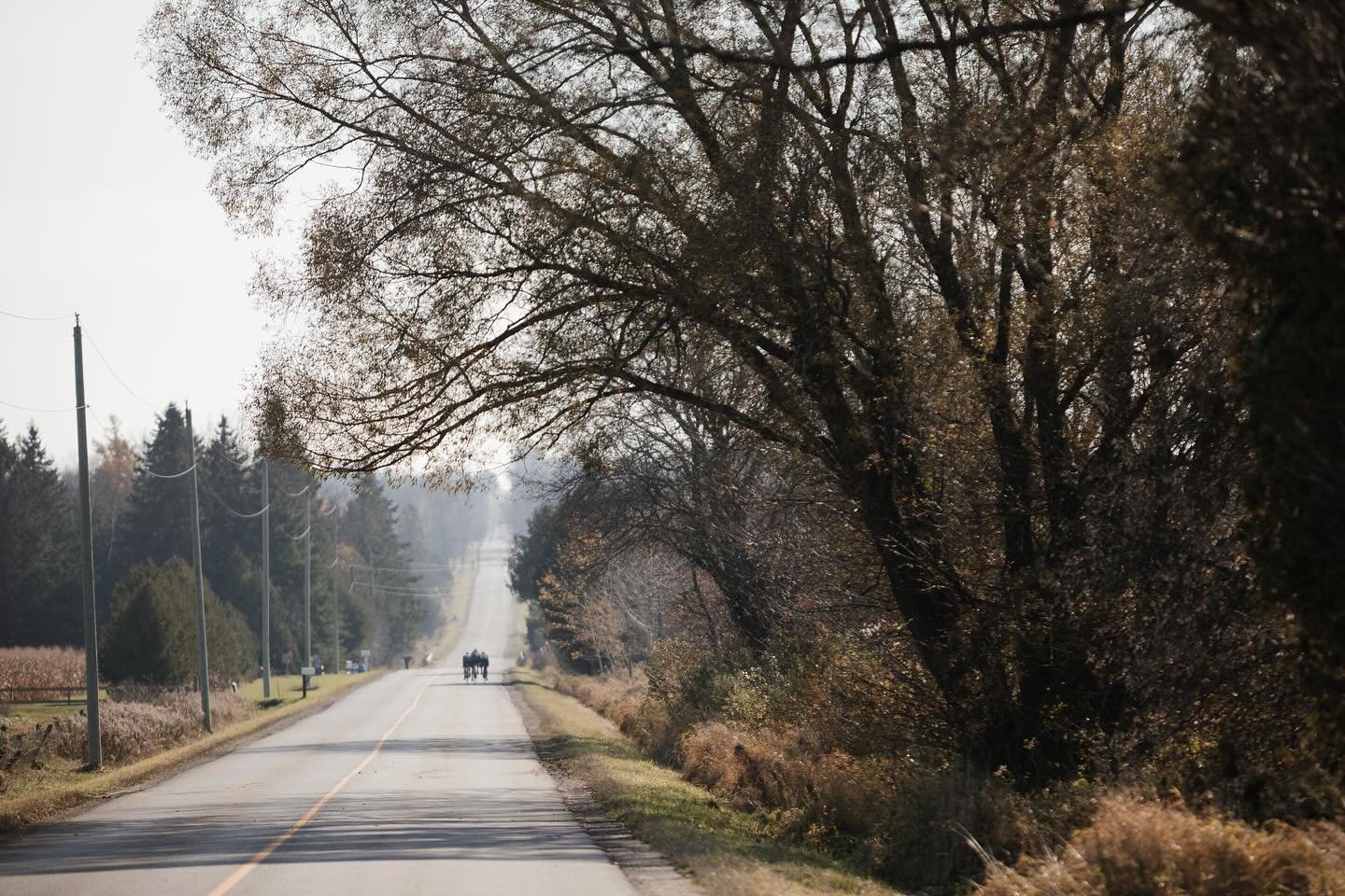 The race season isn&rsquo;t over just yet! Road cycling October 19th with the Heck and Gravel October 20th with the Hell #hellofthenorth #heckofthenorth #heroofthenorth www.hotn.ca