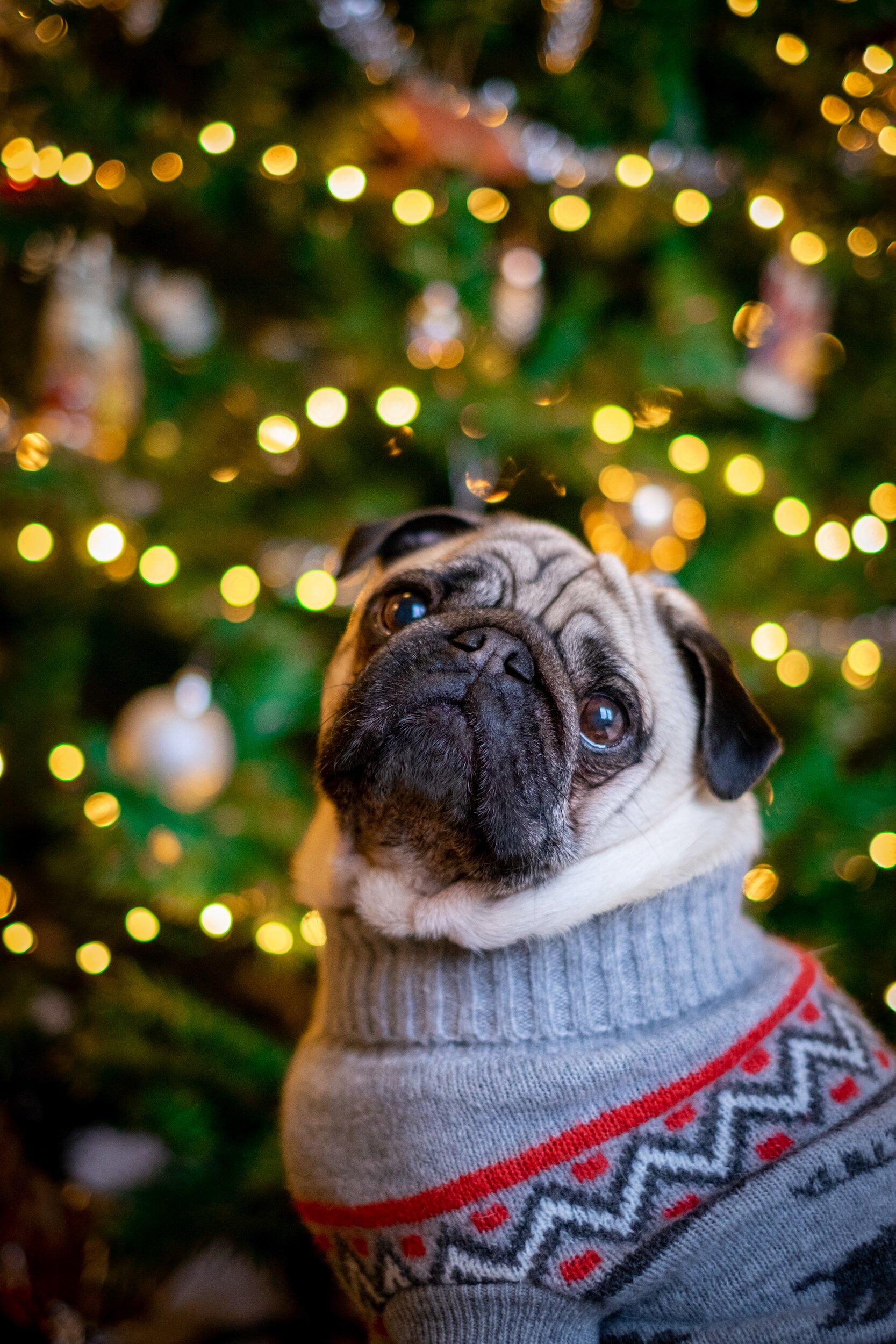 Christmas Opening