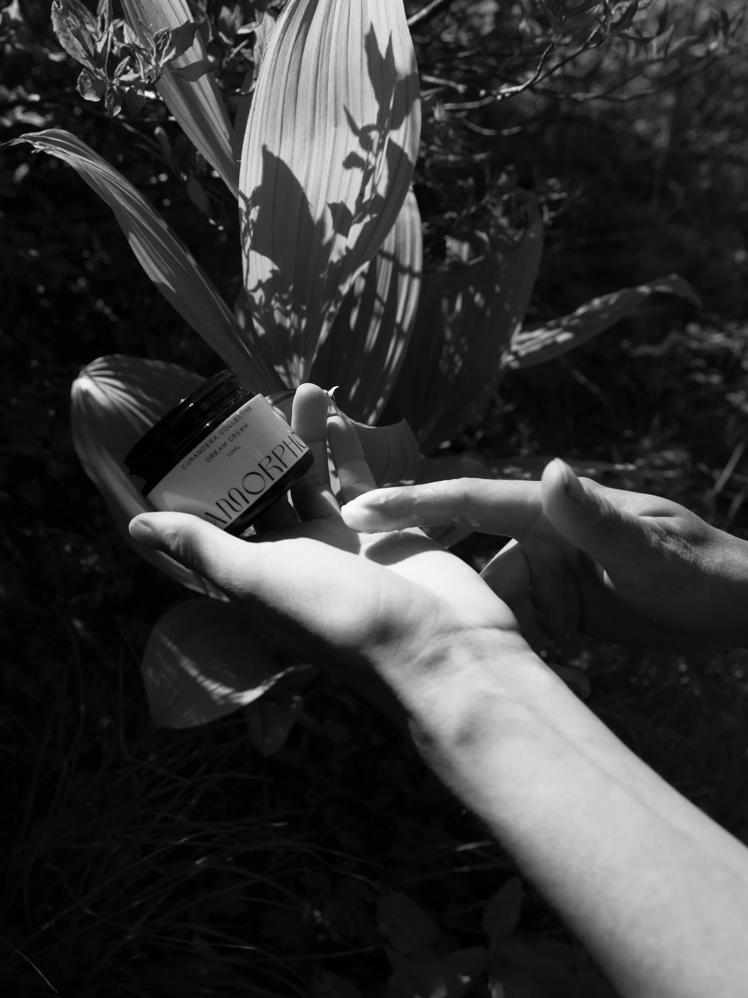 DSCF5475.jpg