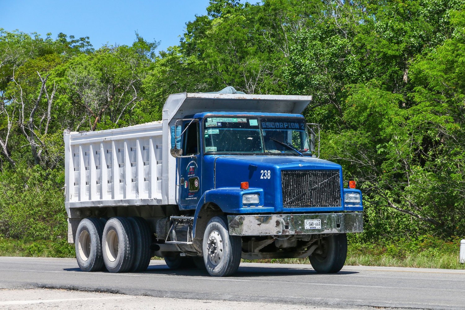 Is 12 14 A Large Is 12 14 A Large