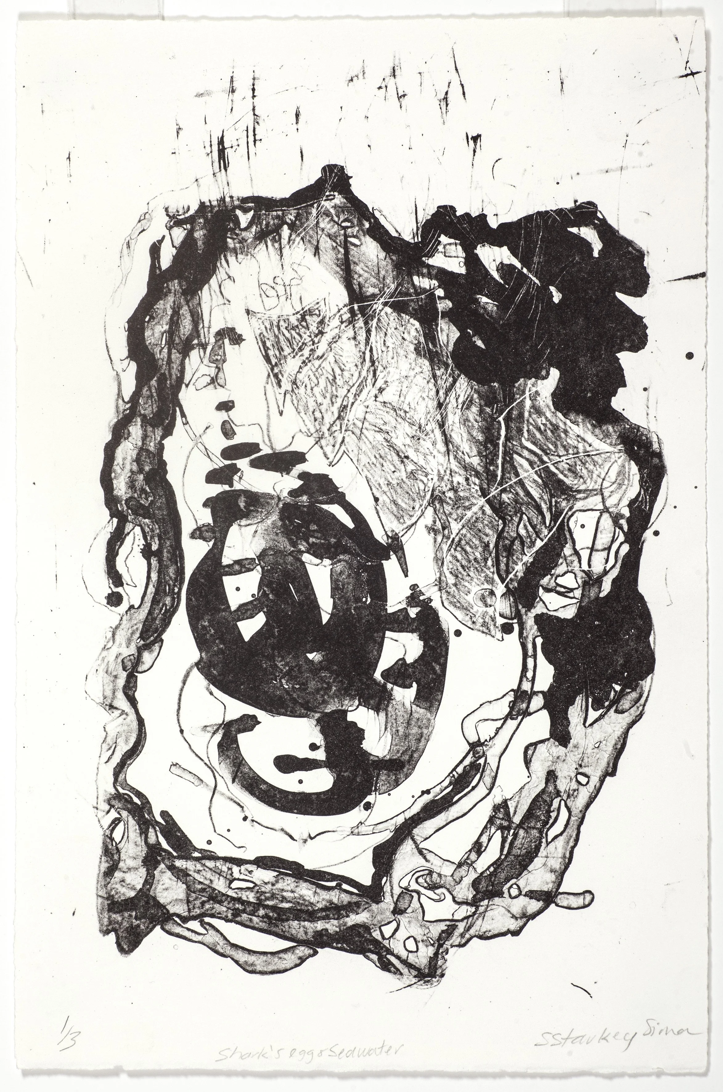 POND WITH SHARK'S EGG | 2025 | Lithograph
