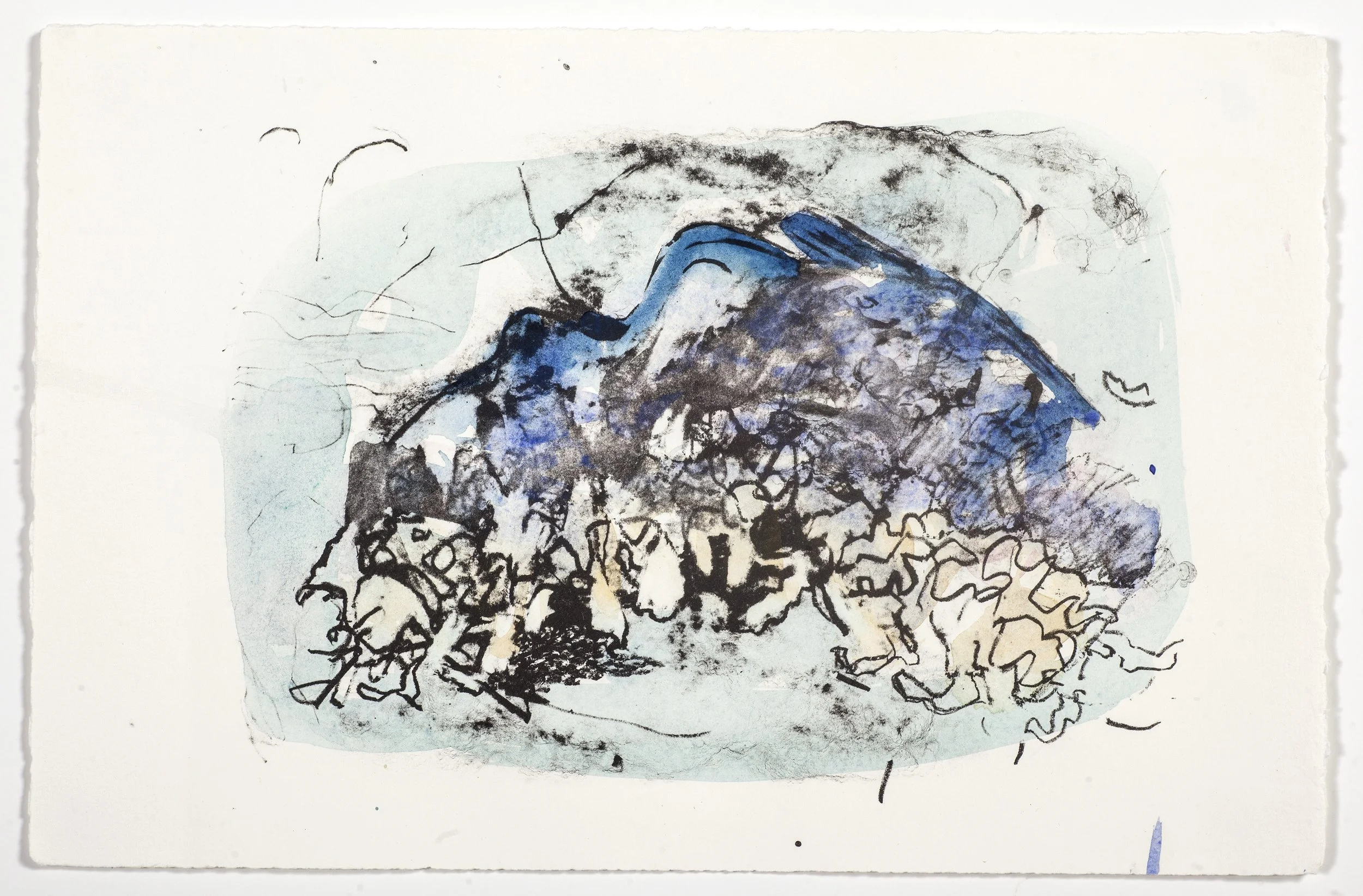 POND SEAWEED | 2025 |Lithograph