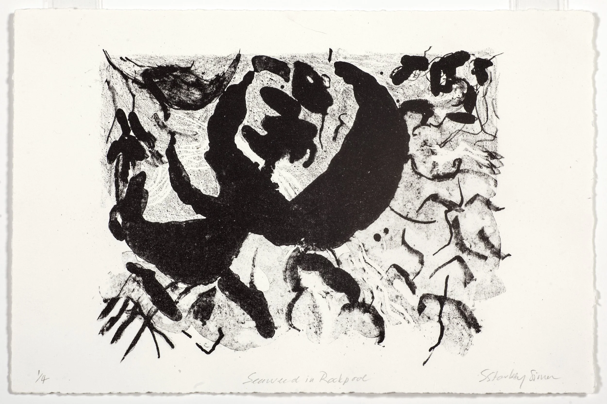 SEAWEED UNDERWATER | 2025 | Lithograph