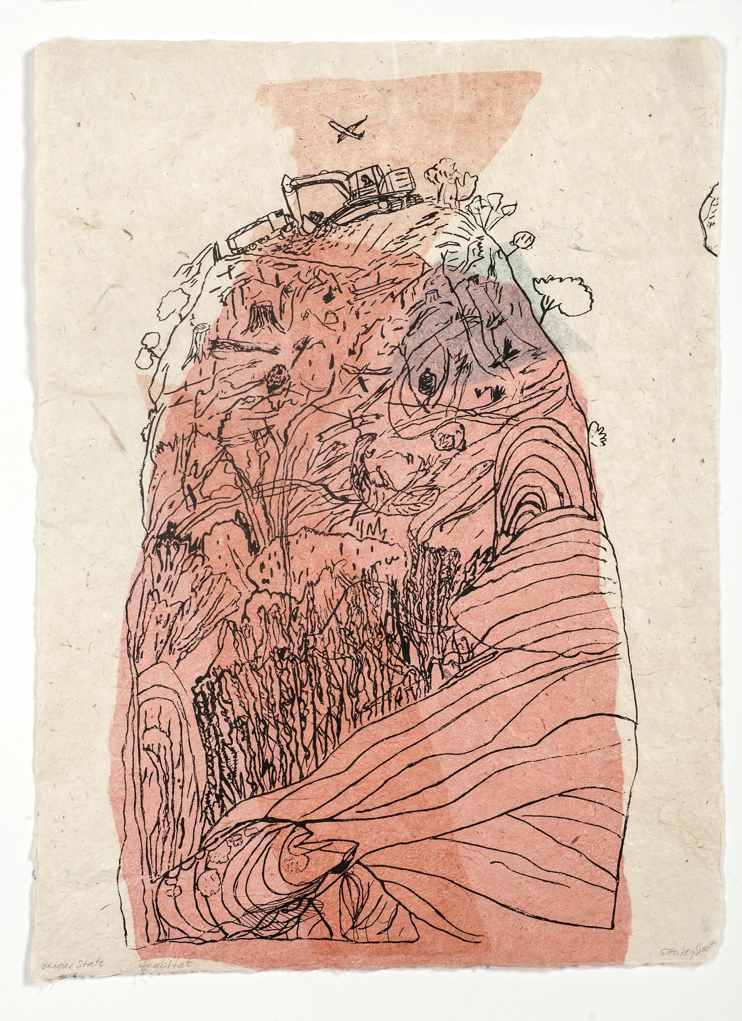 KANGAROO ISLAND FIRE | 2020 | Linocut, monotype, chine colle.