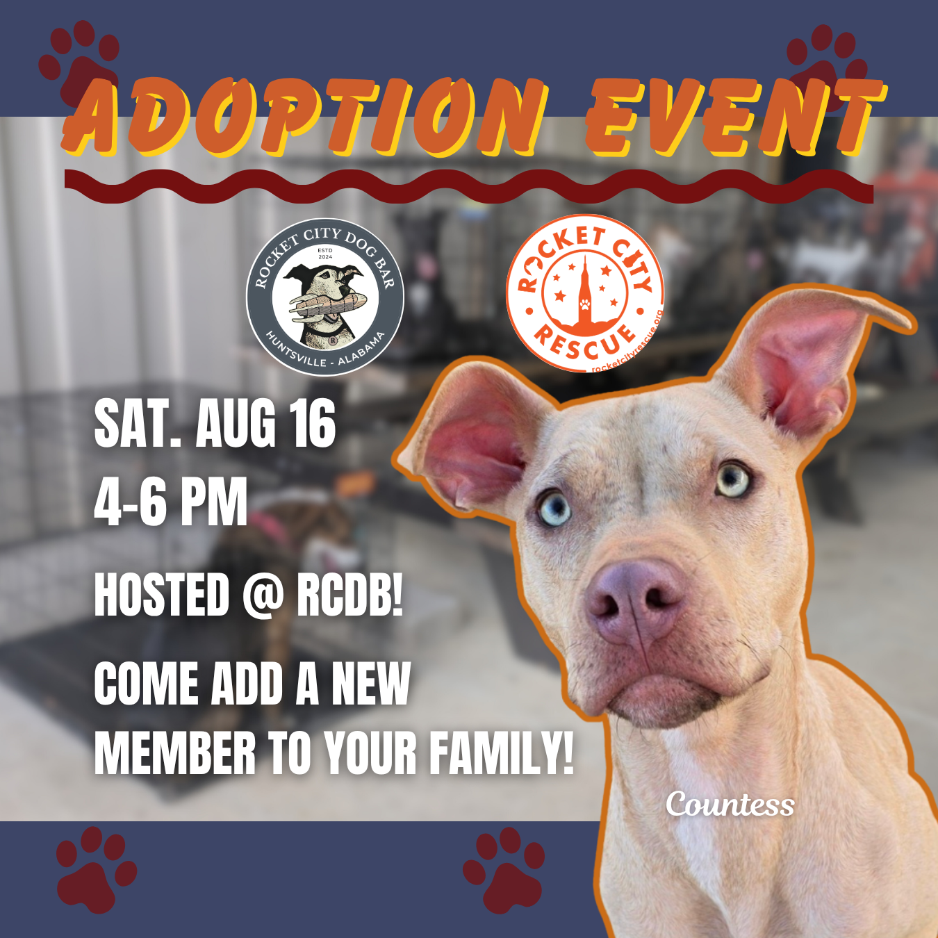 Adoption Event with Rocket City Rescue