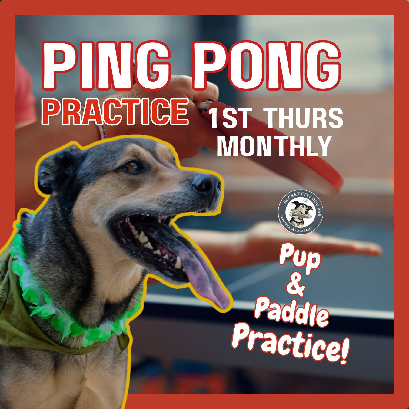 Ping Pong Practice Nights