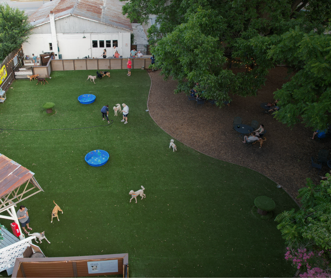 Rocket City Dog Bar