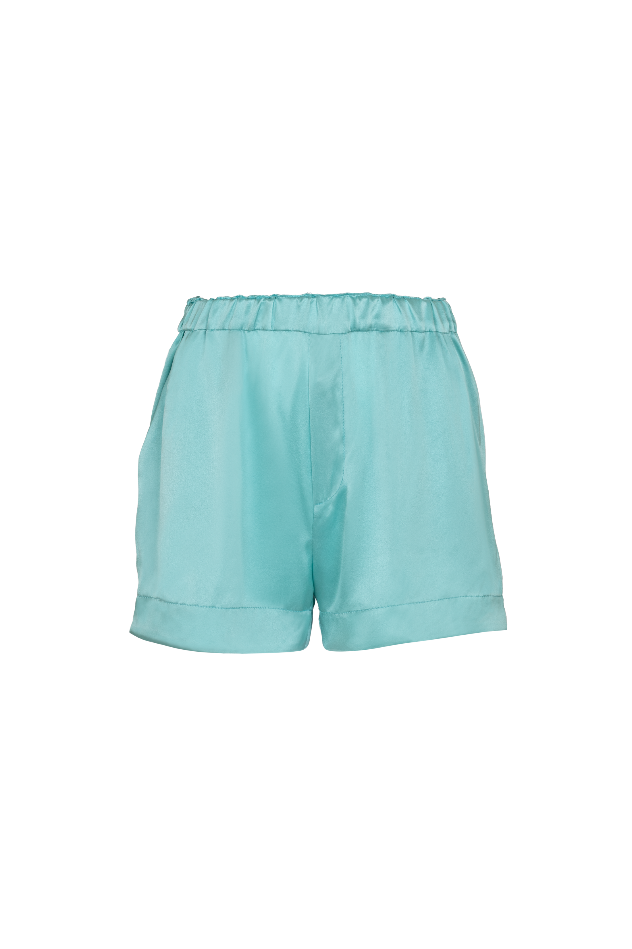 ~~silk~Wani Shorts