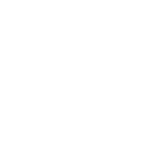 100% HUMAN CREATED CONTENT