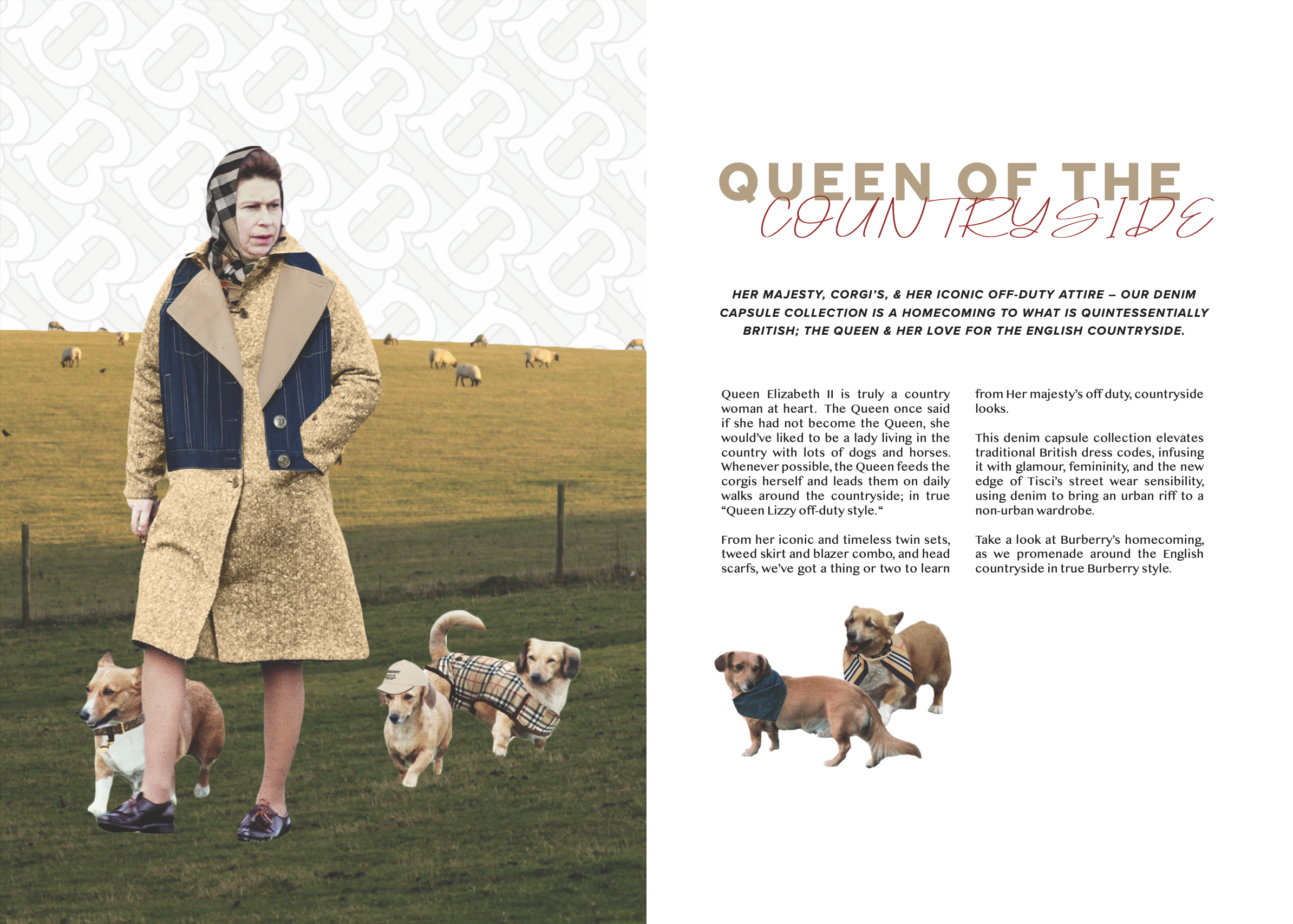 Screenshot 2023-11-16 at 11.46.07 pm.png