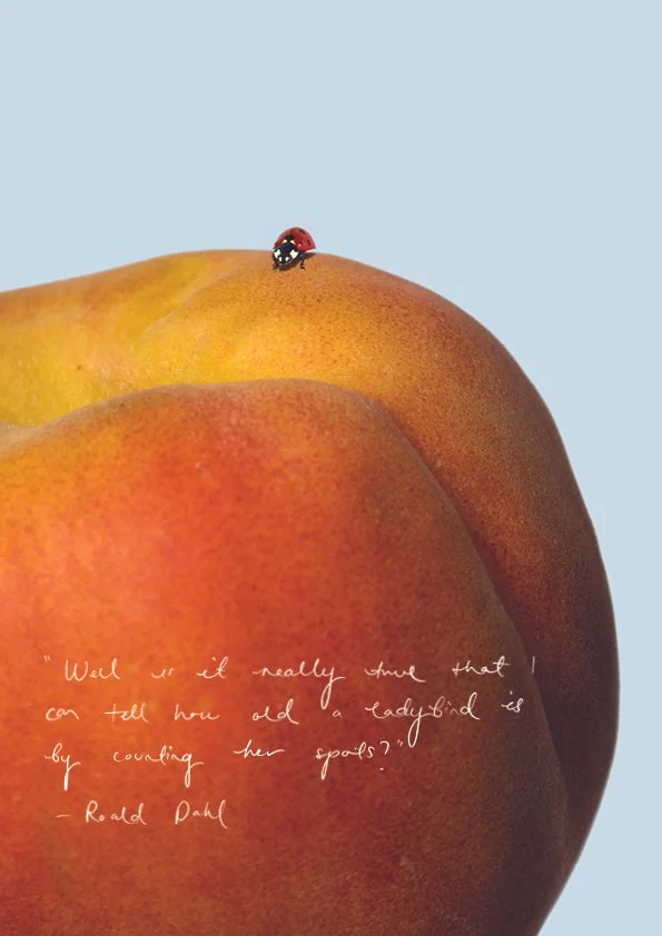 EDEN_by Isabelle Rivera10.jpg