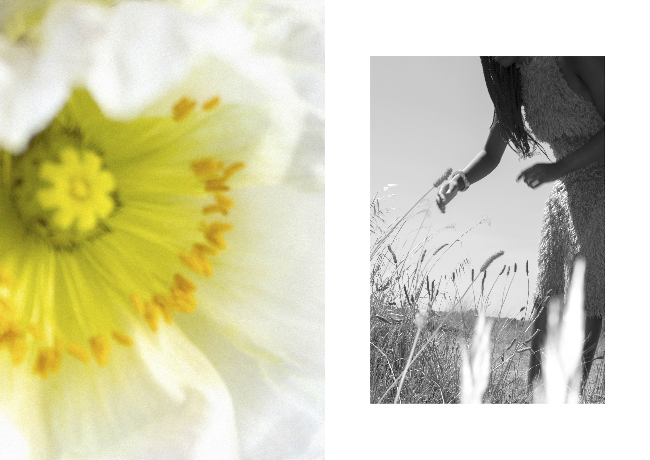 EDEN EDITORIAL FINAL (dragged) 2.png
