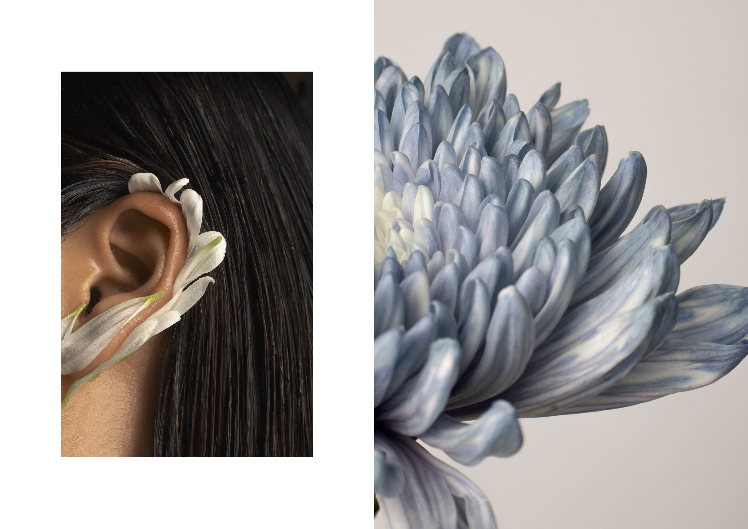 EDEN EDITORIAL FINAL (dragged) 11.png
