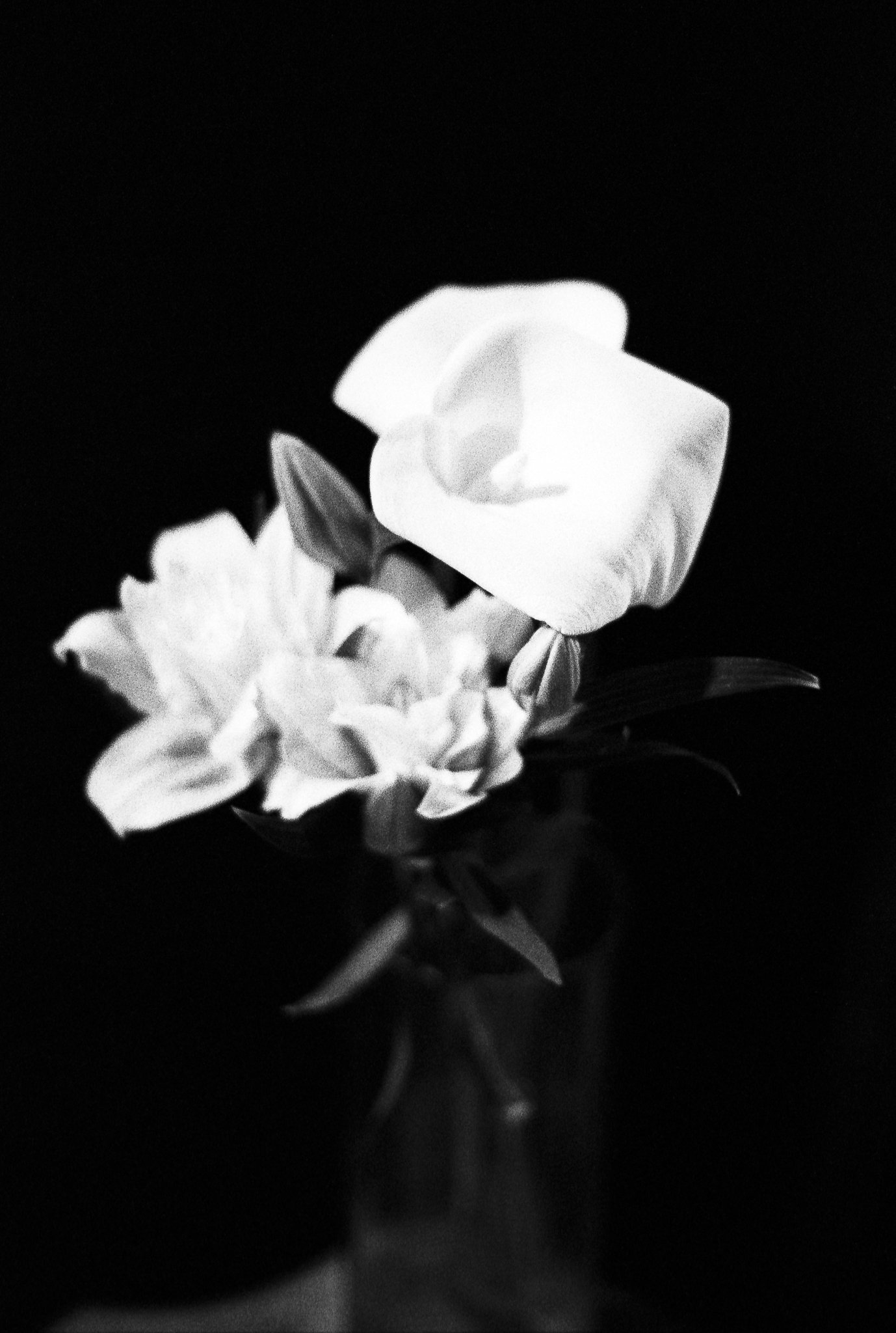 fm2hp5+3-3.jpg